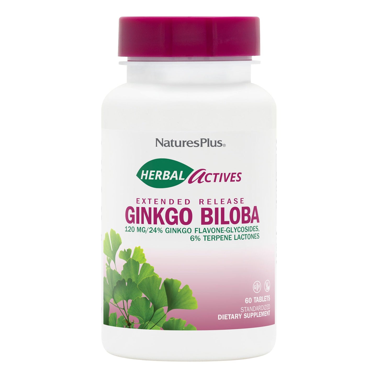 NaturesPlus Herbal Actives Ginkgo Biloba Extended Release Tablets 60 Count