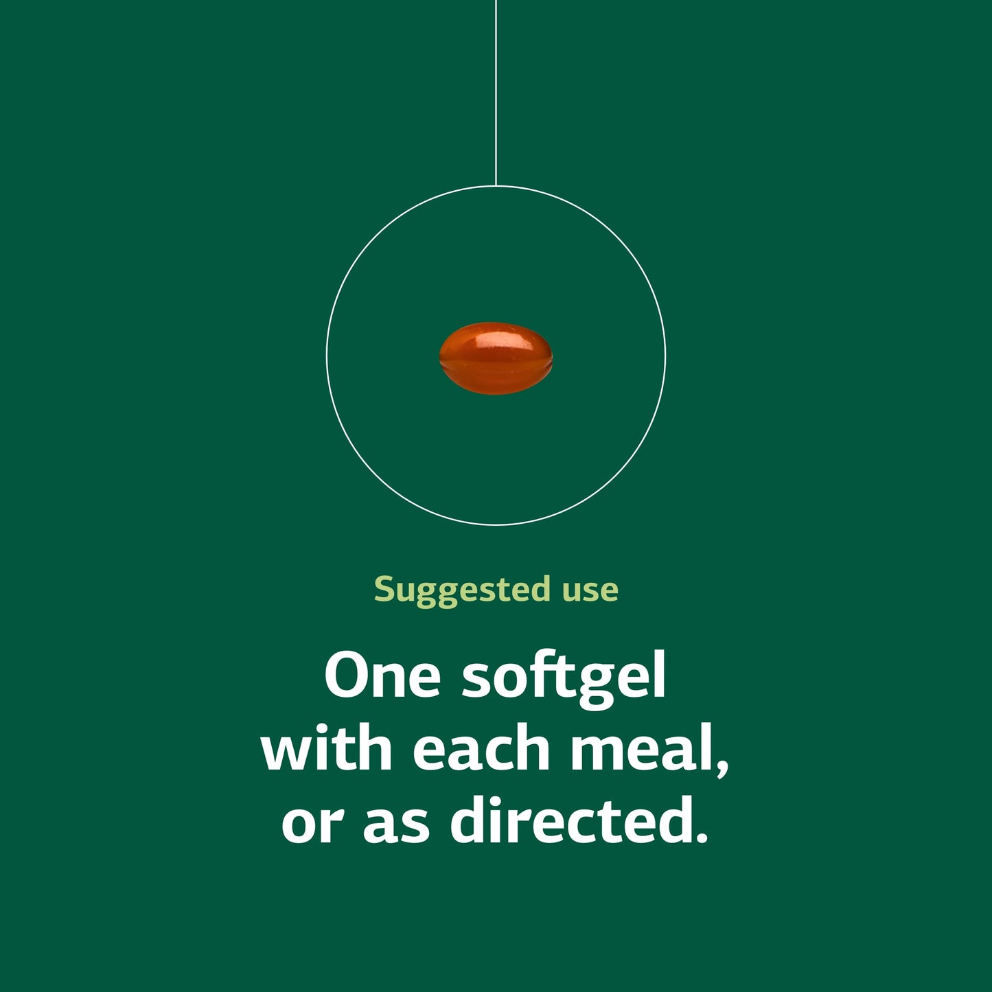 Standard Process Inc. Soybean Lecithin Softgels 240