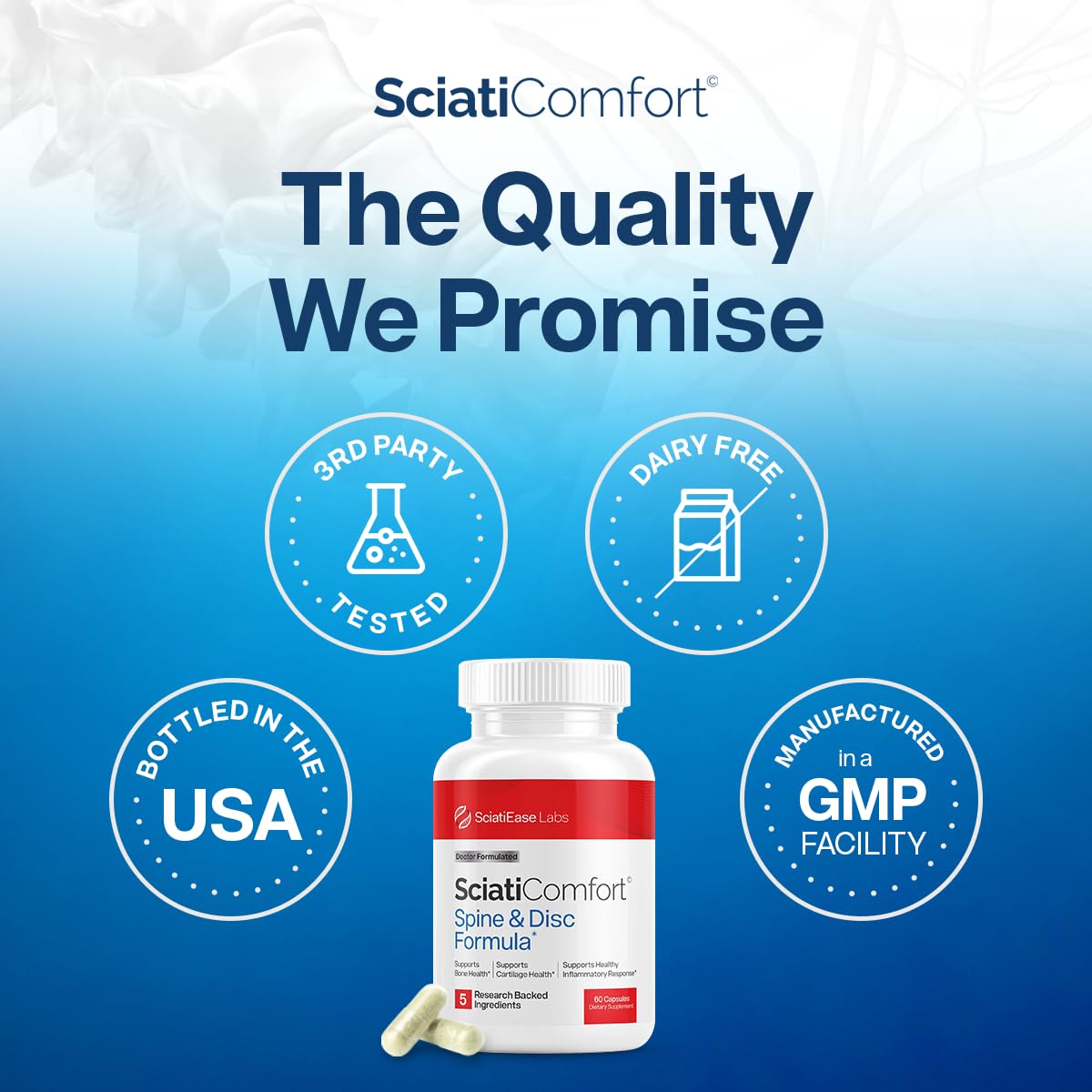 SciatiEase SciatiComfort Spine and Disc Support Supplement Capsules, 60 Count