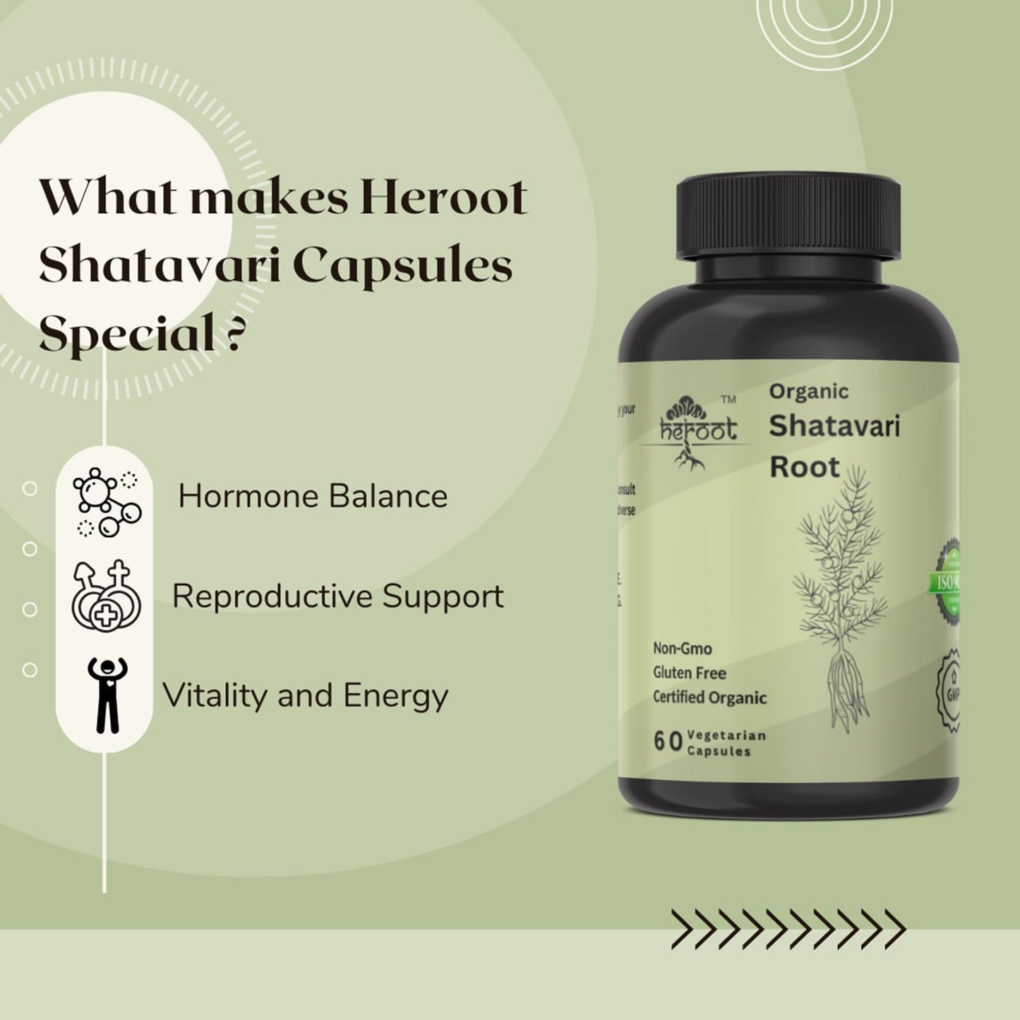 Heroot Shatavari Root 500mg (Asparagus racemosus) Capsules, 120 Count