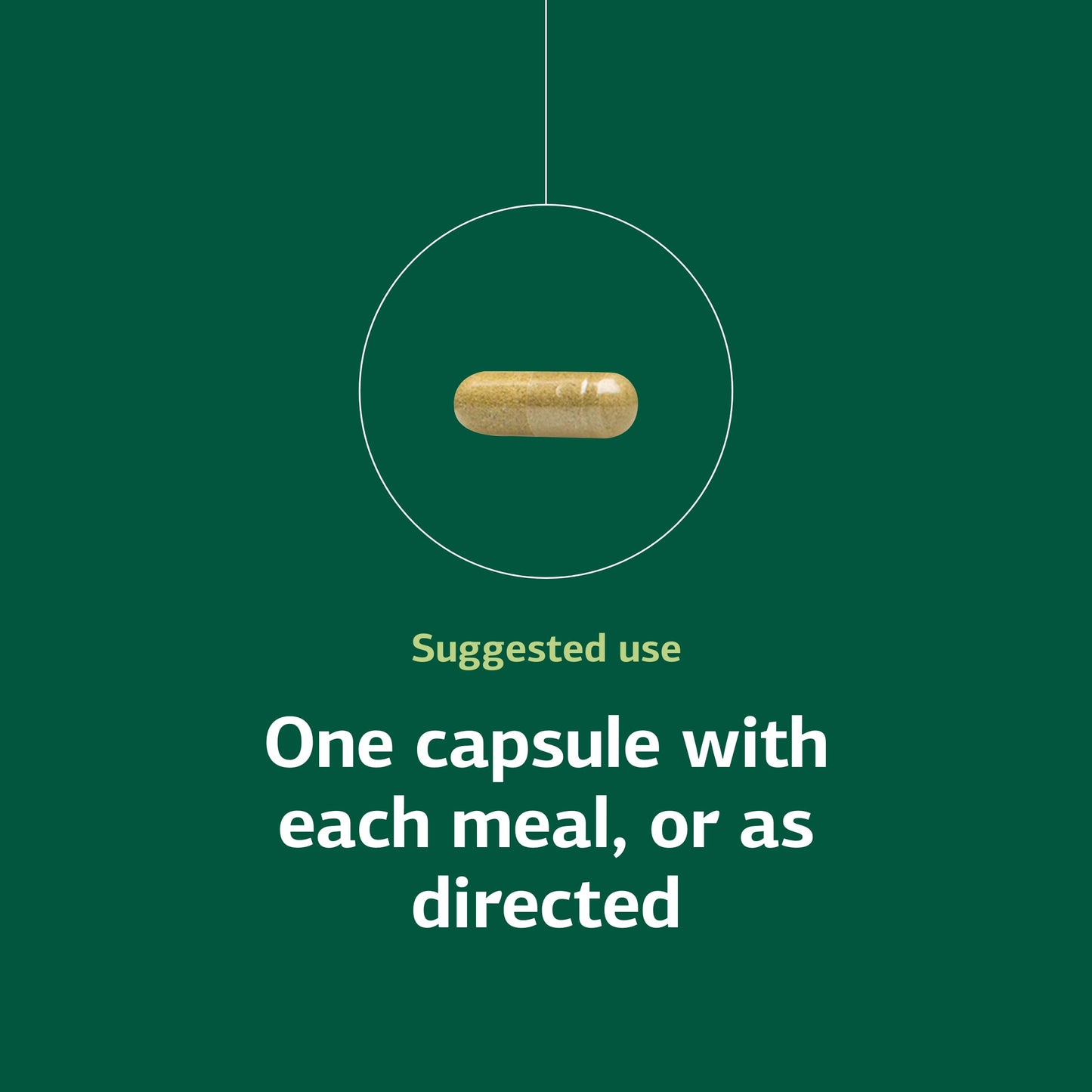 Standard Process Ostarplex Capsule, 90 Count