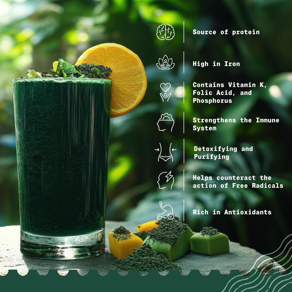 NaturaleBio Spirulina Powder Organic, 16 oz