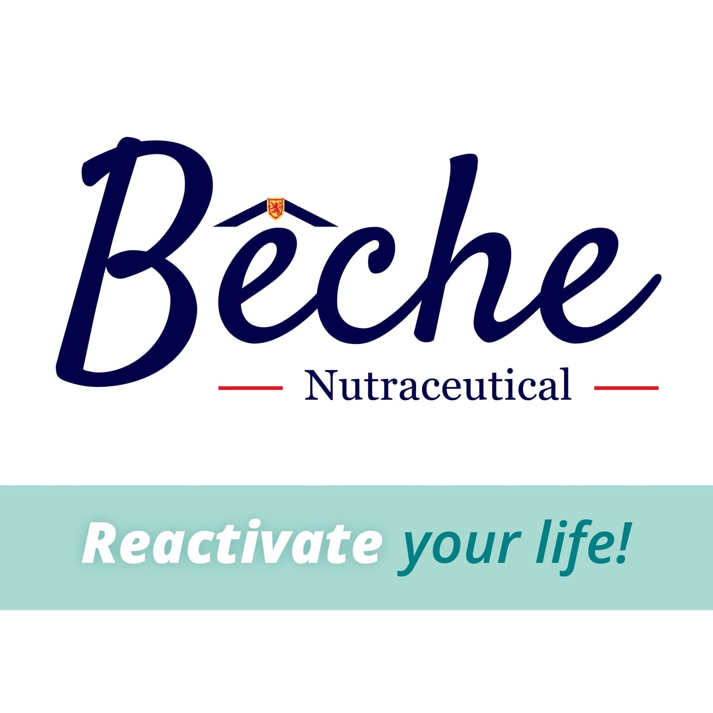 Bêche Sea Cucumber Powder Capsule 30 Capsules