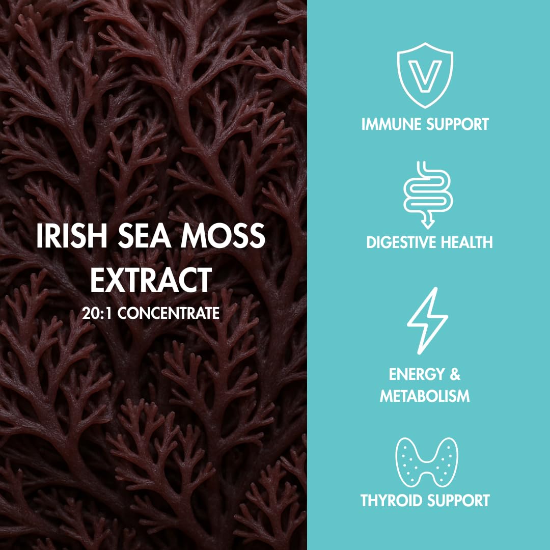 The Evolved Co. Perform Gummys Irish Sea Moss with Burdock Root & Bladderwrack – Berry Bliss, Vegan, 60 Count