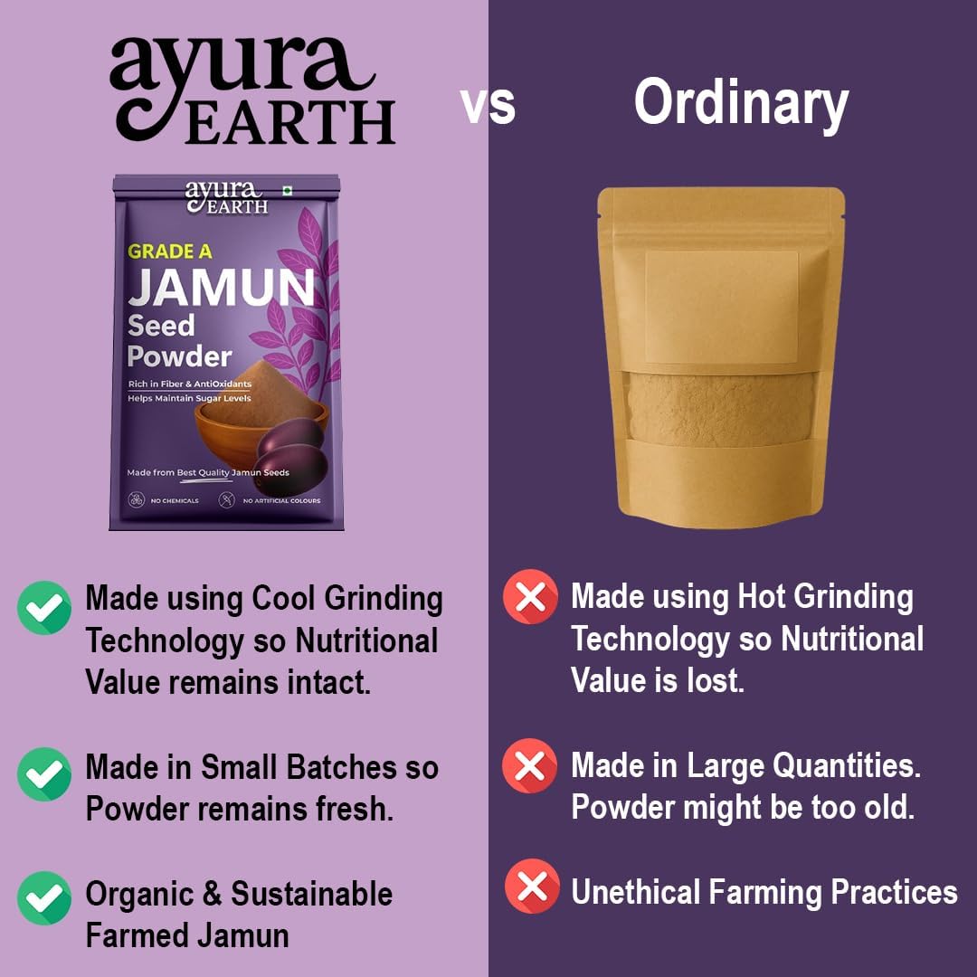PGM DISTRIBUTORS AyuraEarth Organic Jamun Seed Powder 1 Capsule