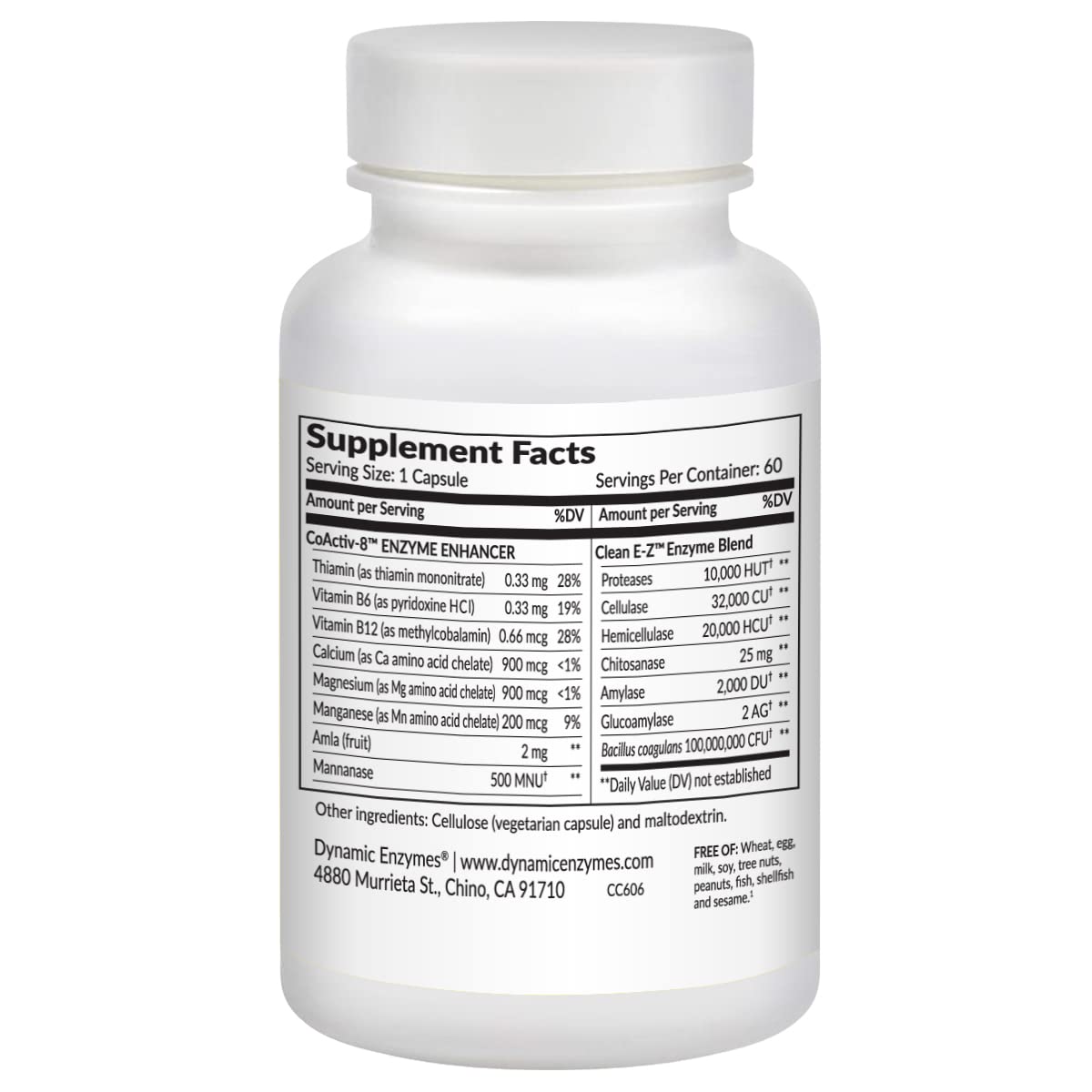Dynamic Enzymes Clean E-Z Enzymes + Probiotics – Chitosanase Enzyme Blend with Shelf-Stable Probiotics – Supports Gut & Microbiome Balance – Empty Stomach Cleanse Support, 60 Capsules