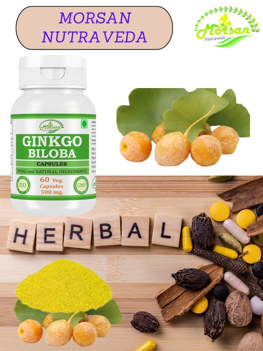 Morsan Nutraveda Ginkgo Biloba Capsules 500 mg, 240 Count
