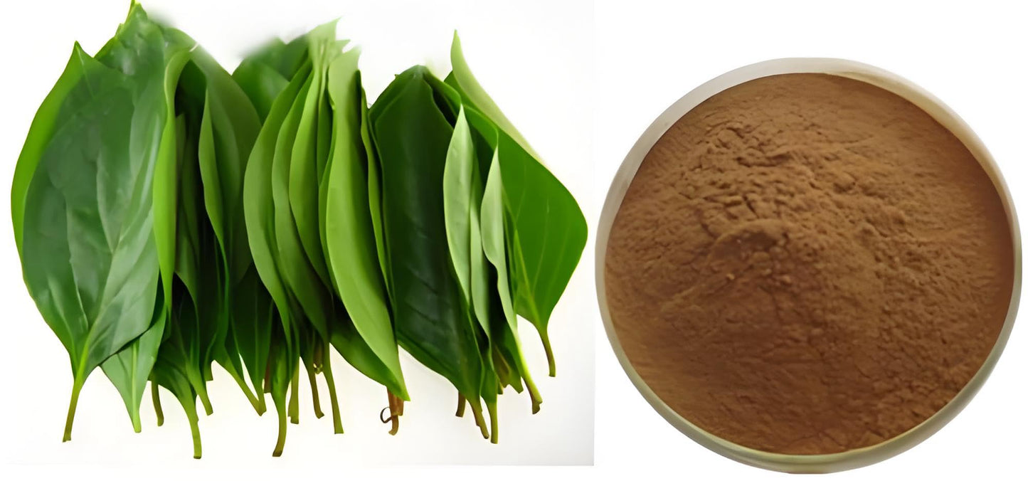 Bright sunlight Persimmon Leaves Extract 20:1 Powder 18