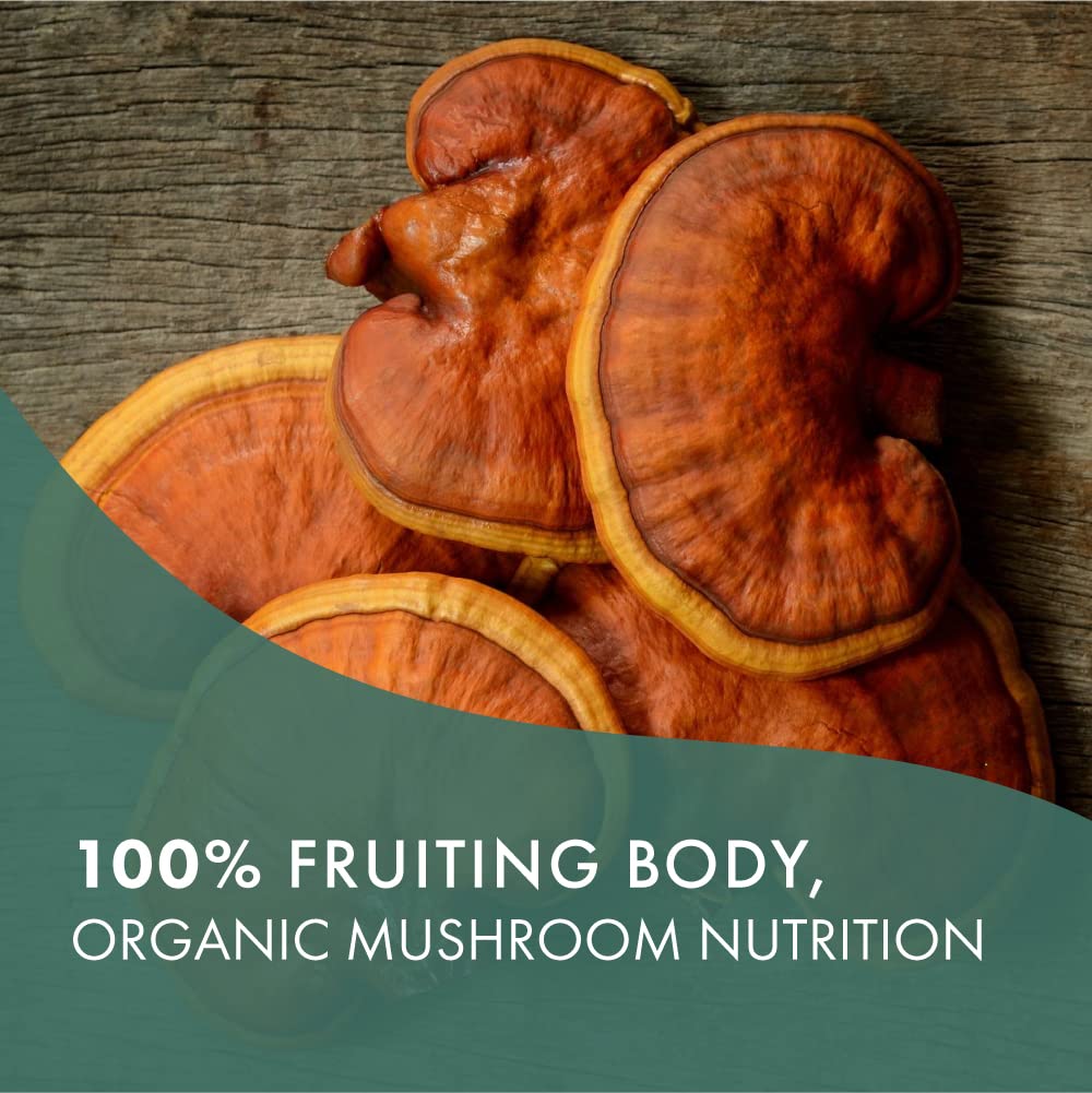PURE ESSENCE LABS MyPure Reishi 4X Organic Mushrooms Supplement capsules, 30 Count