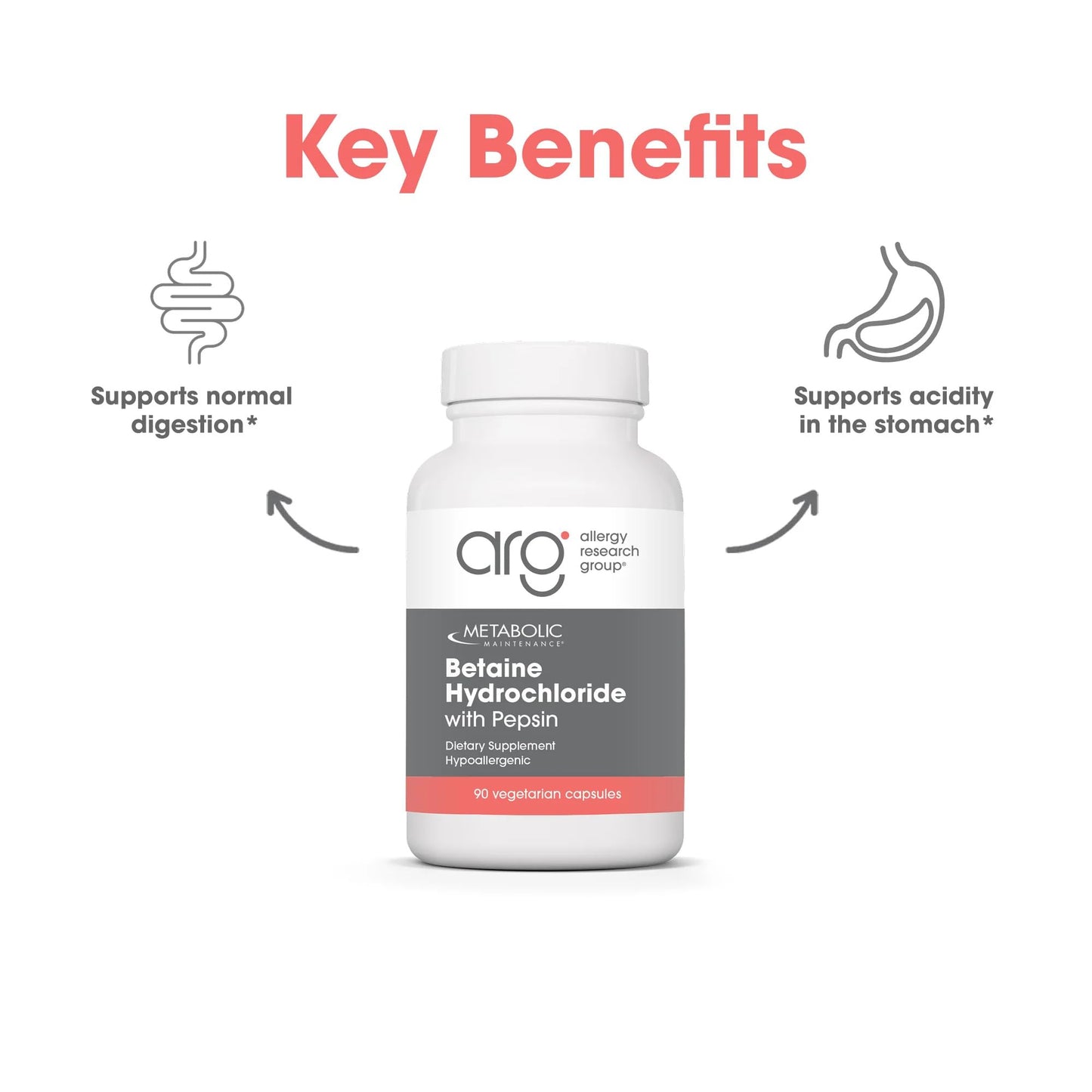 Metabolic Maintenance Betaine HCl + Pepsin Digestive Enzyme - Protein Digestion + Gut Health Support Supplement Capsules, 100 Count