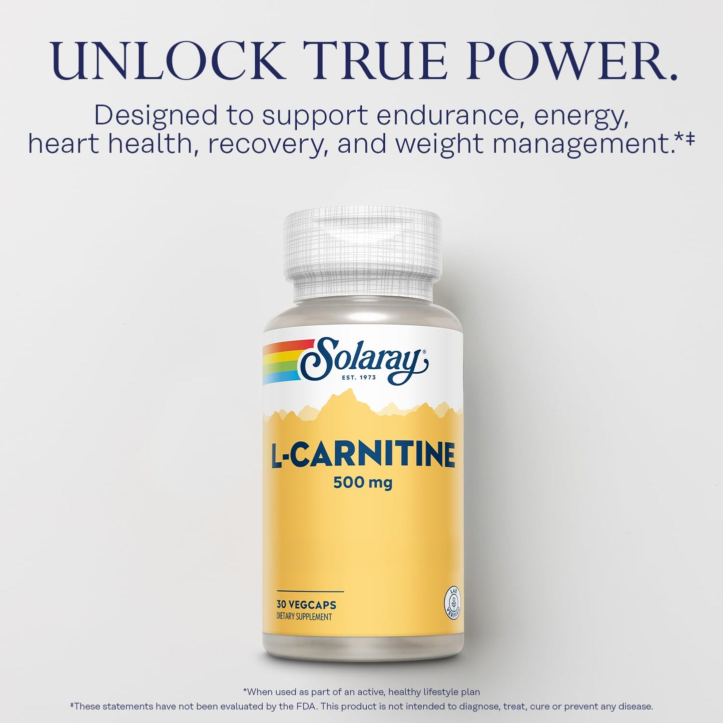 Solaray L-Carnitine 500 mg Capsule, 30 VegCaps