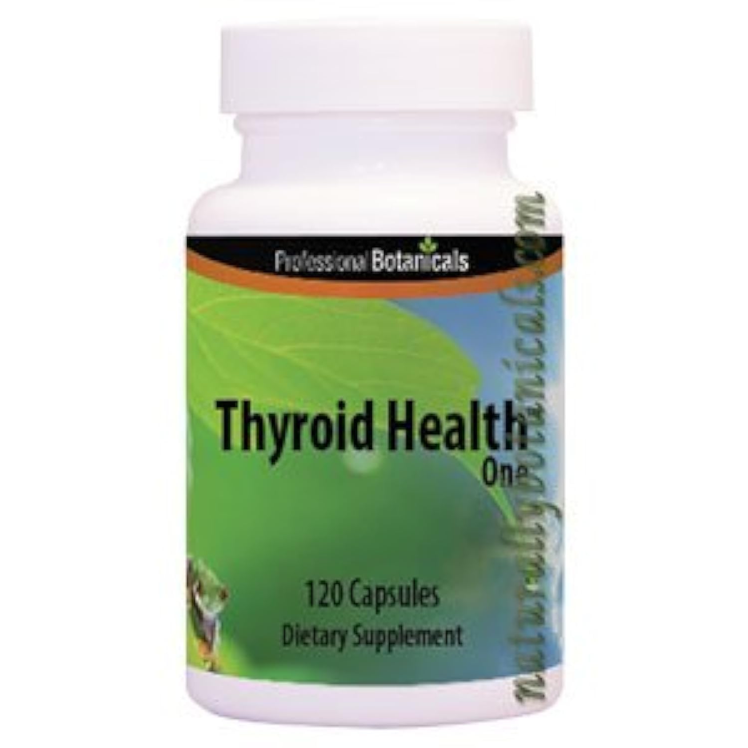 Professional Botanicals Thyroid Health One Capsule, 90 Veg Capsules