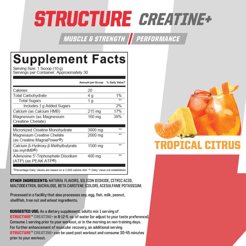 Undefined Nutrition Structure Creatine+ Powder 10.6 oz