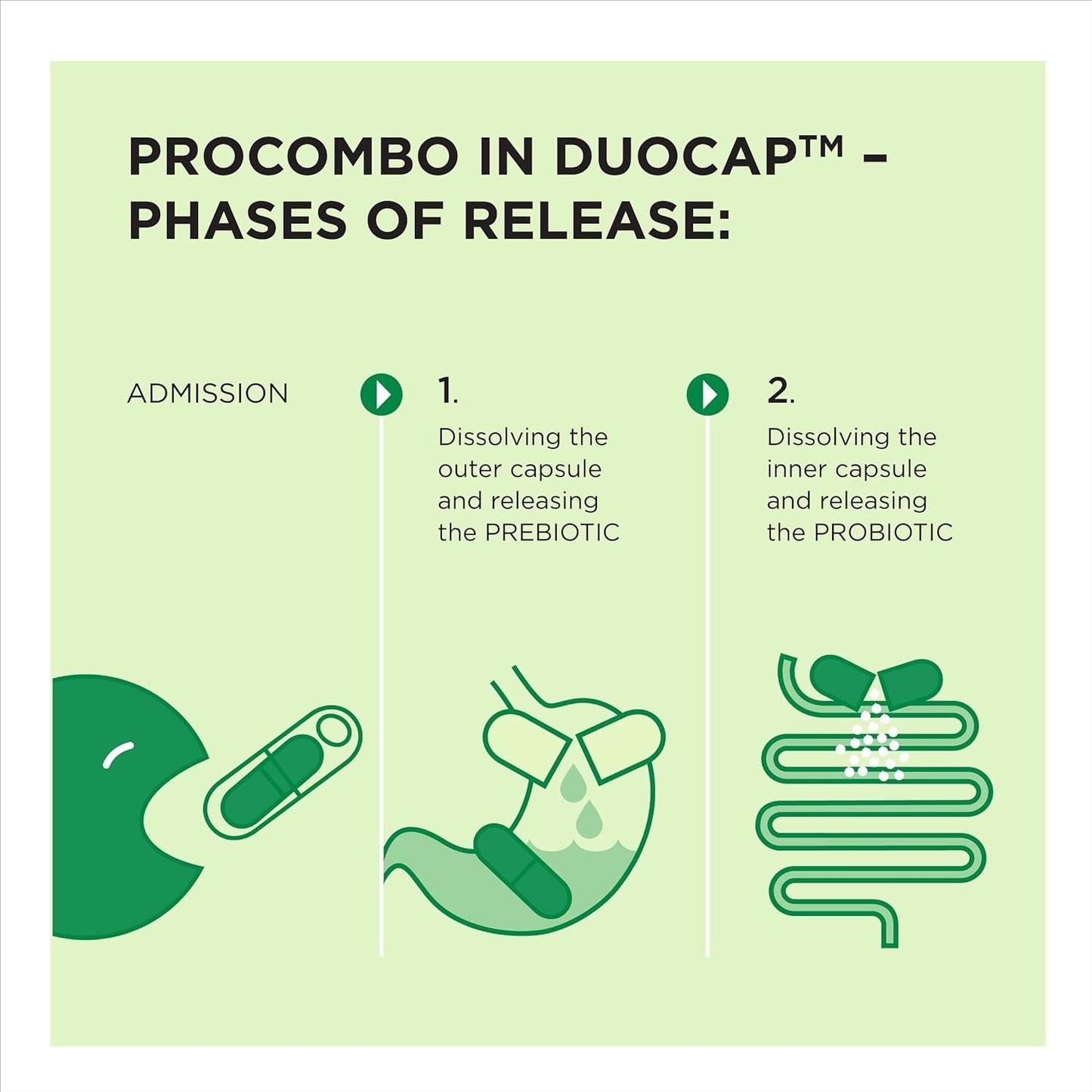 ProCombo Smart Synbiotic 30 Capsules