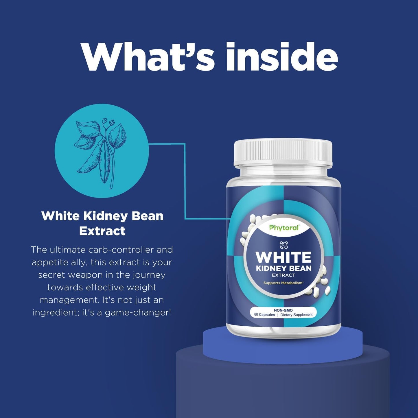 Phytoral White Kidney Bean Extract Carb Blocker Capsule 60 Count