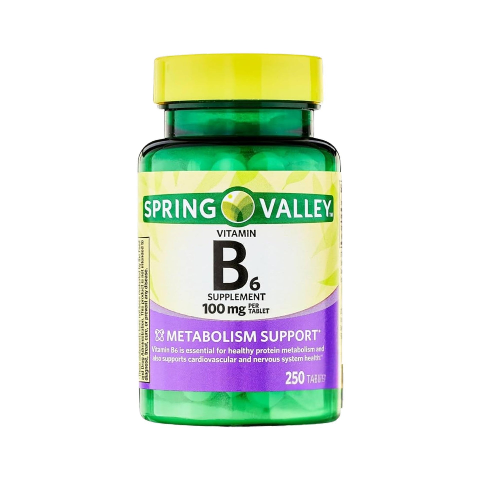 Unique Bundle Store Vitamin B6 100mg Tablet, 250 Count