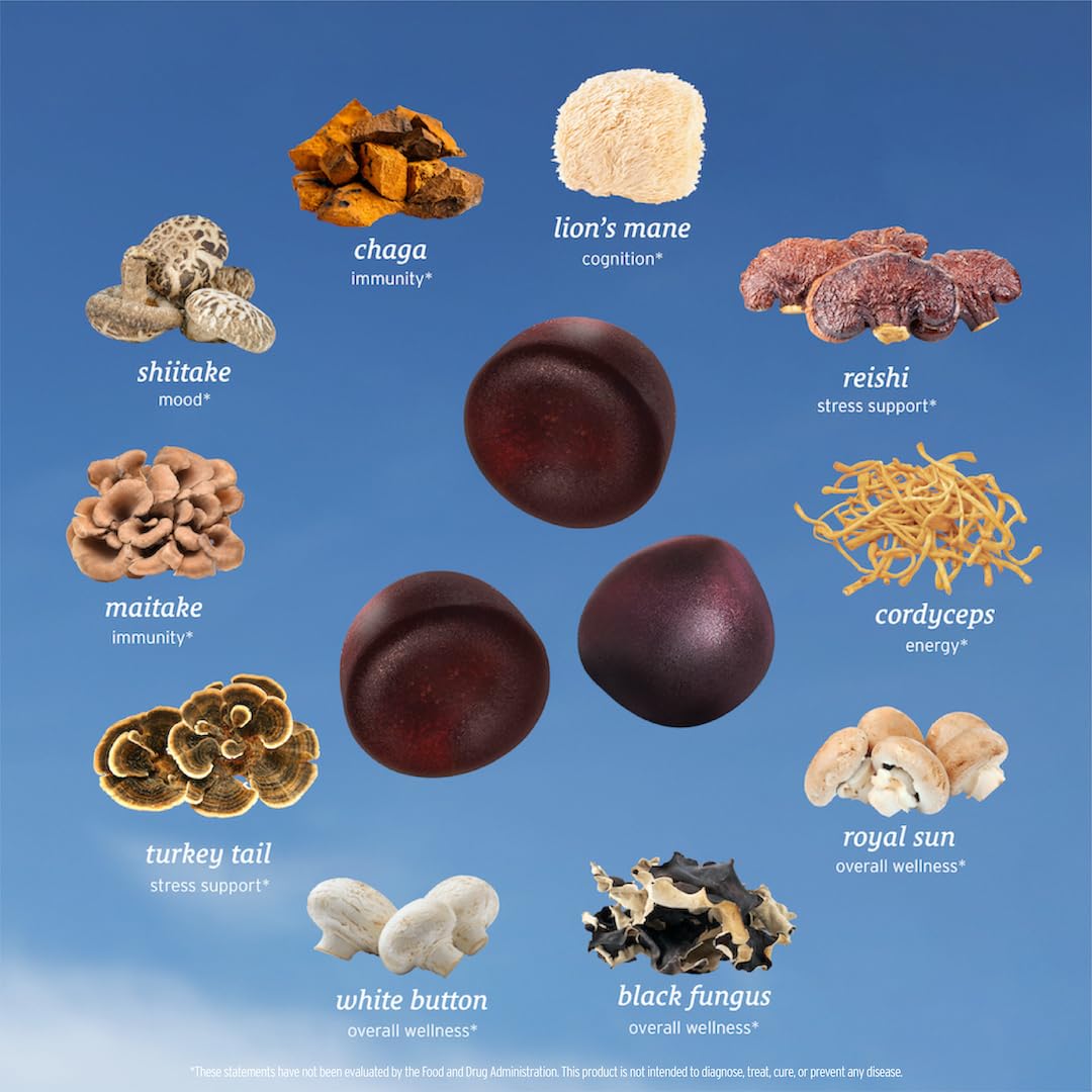 SUNMED All-in-One Mushroom Supplements, 60 Gummies