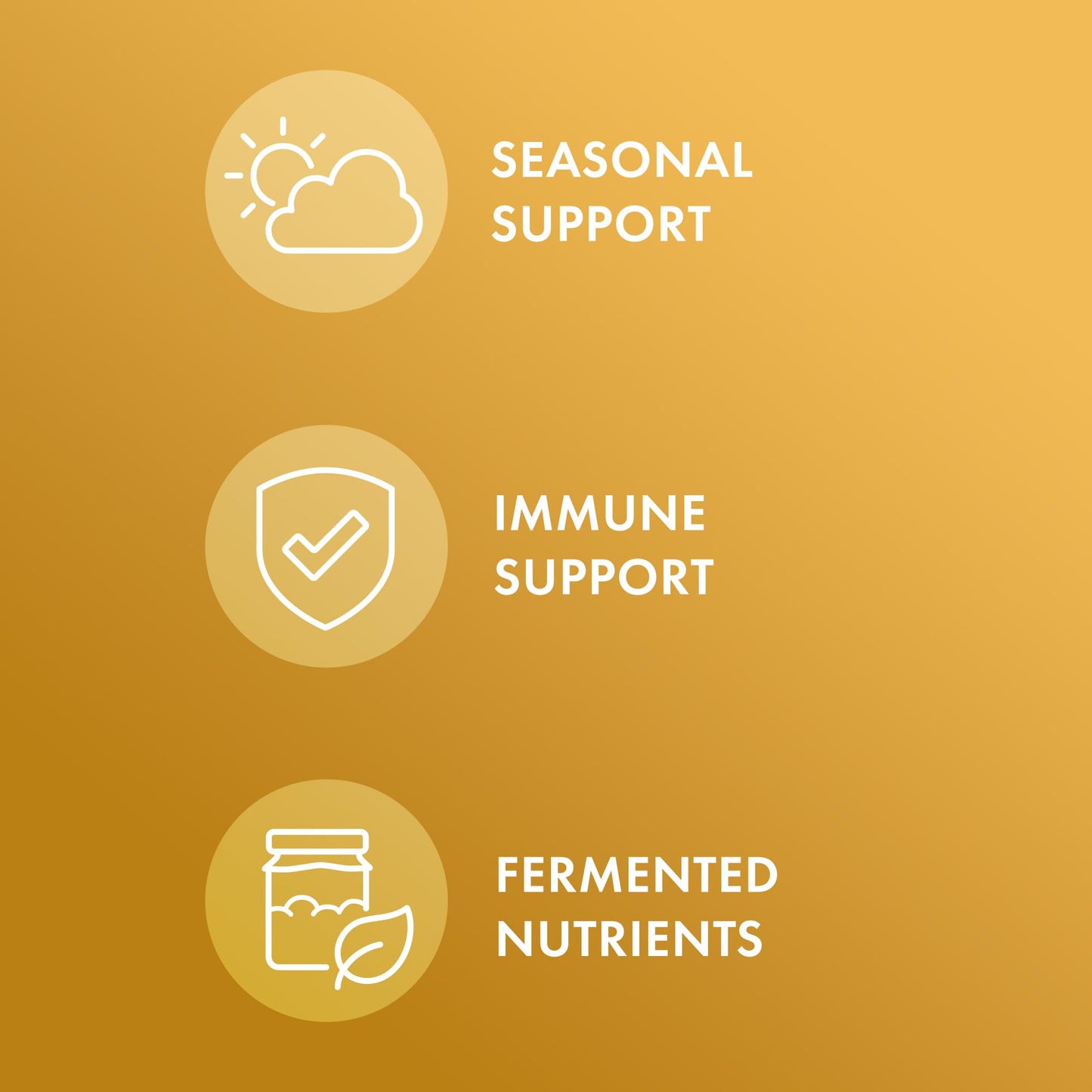 Dr. Mercola Fermented Beta Glucans - Immune System Support - Beta-1,3-Glucan & EpiCor Yeast Fermentate 60 Capsules