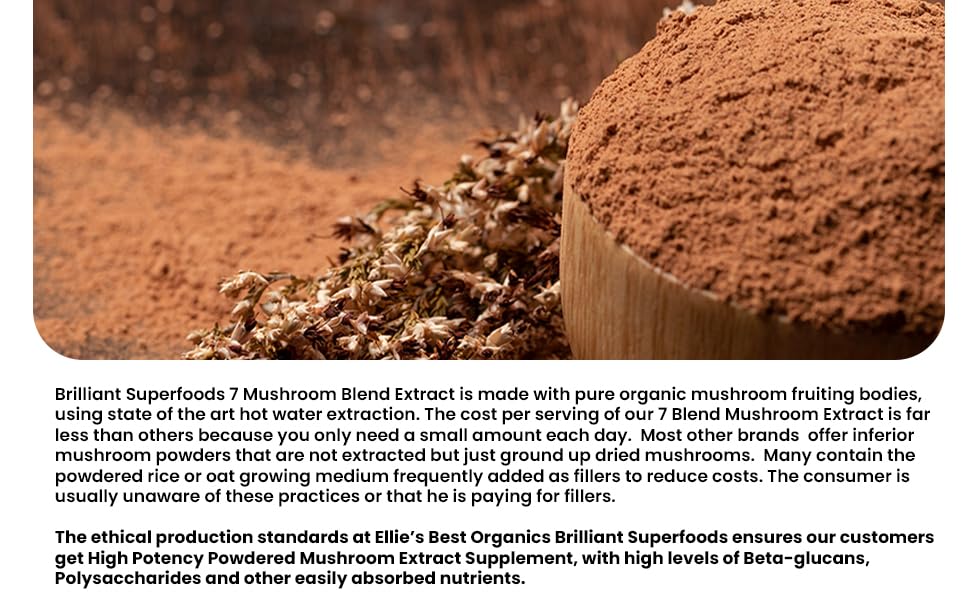 Ellie's Best 7 Mushroom Powder Extract Blend Supplement Organic 4oz