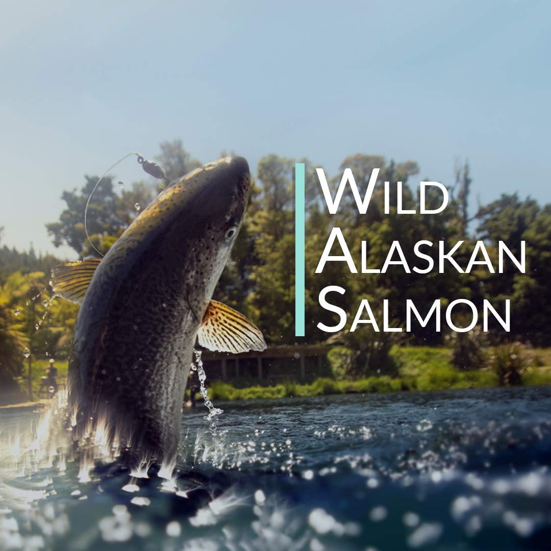 Unknown Wild Alaskan Salmon Bone Broth Collagen Powder 5 Pound 80