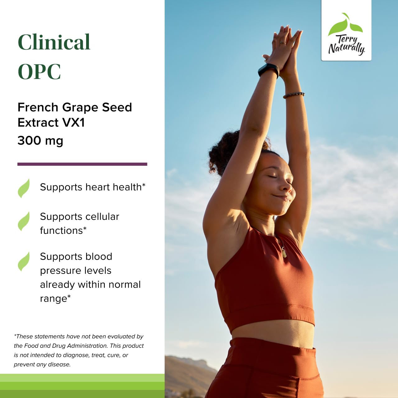Terry Naturally Clinical OPC - Cardiovascular Health & Focus Support Supplement Softgels 60