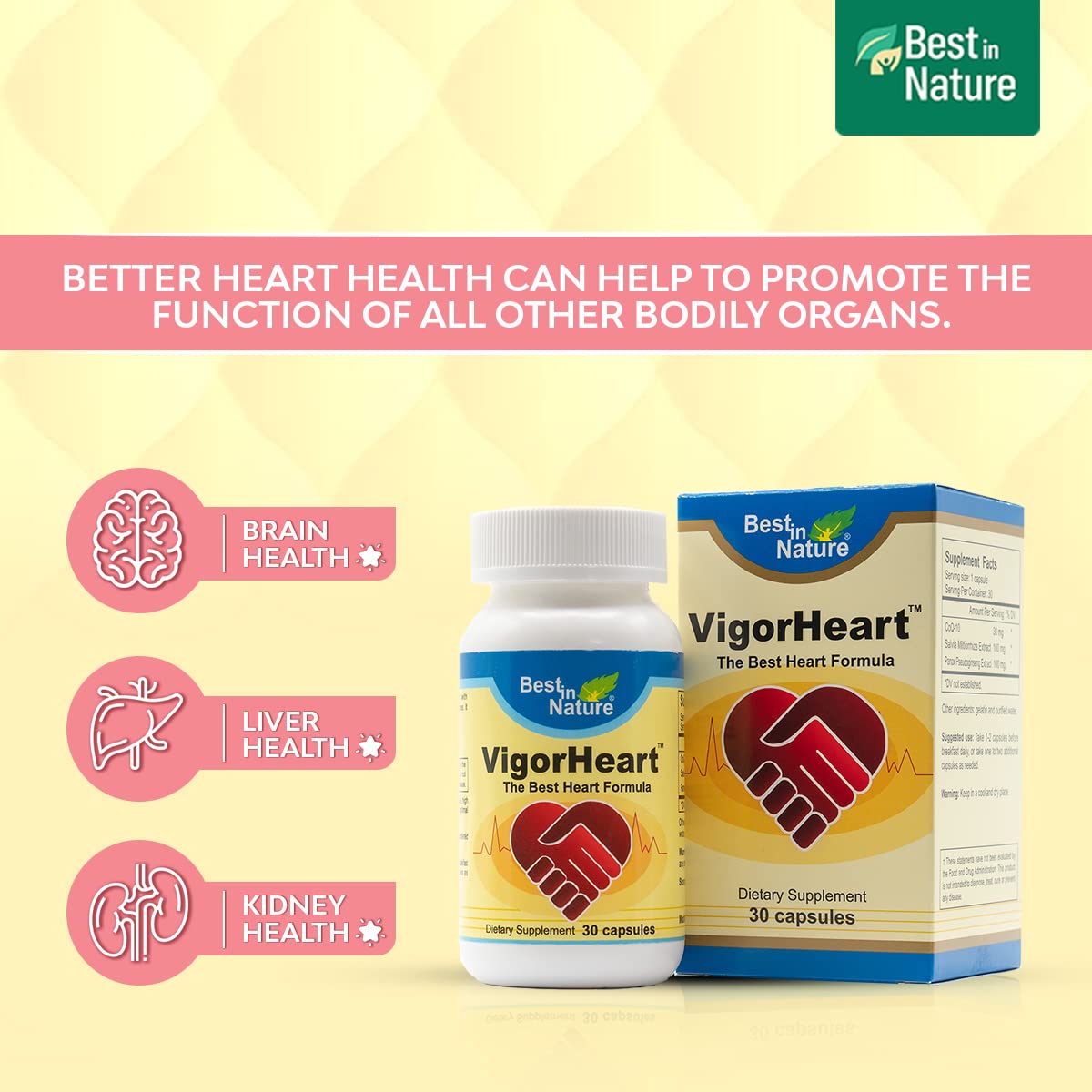Best in Nature VigorHeart The Natural Heart Supplements with CoQ10, Salvia Miltiorrhiza, and Panax Pseudoginseng Capsules, 30 Count