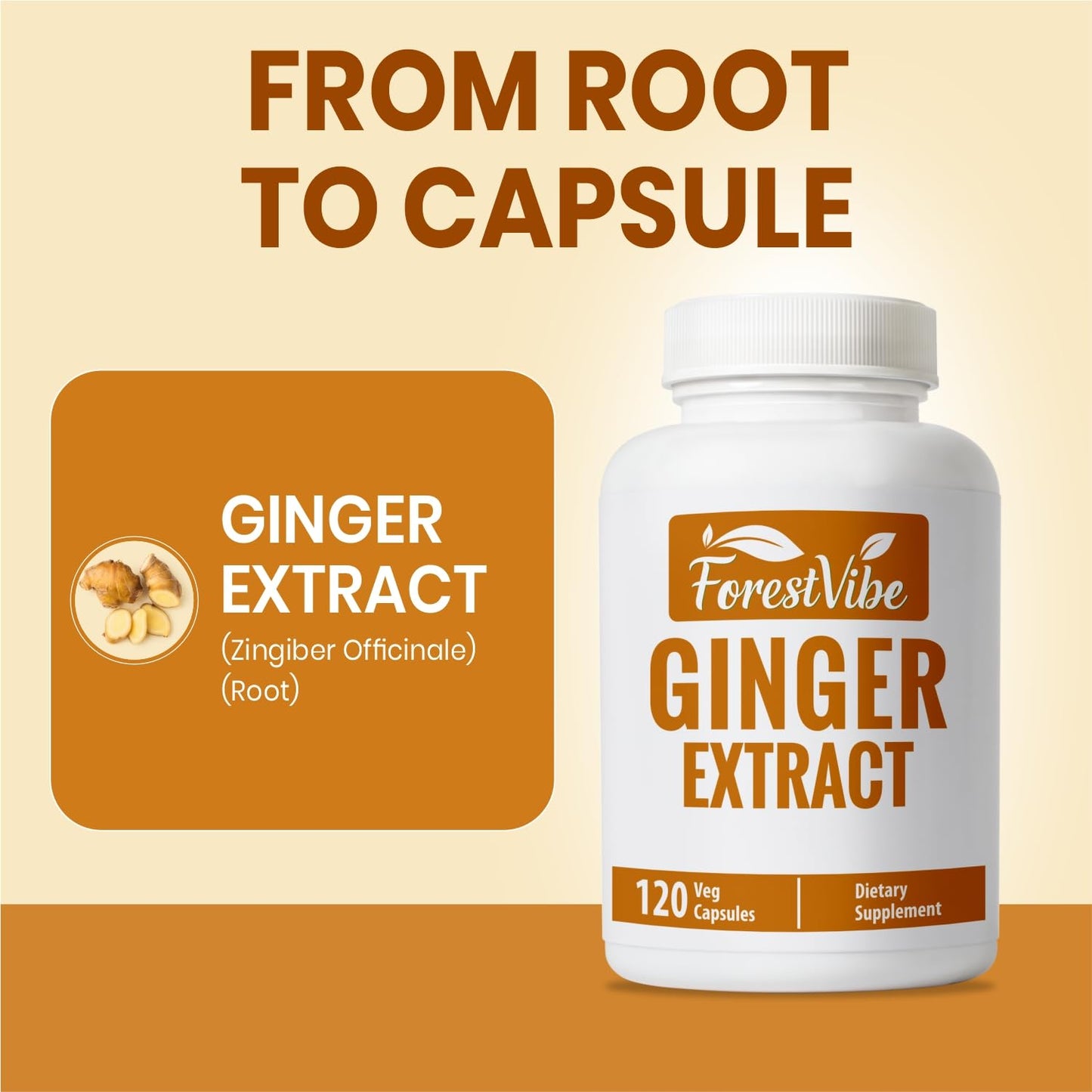 ForestVibe Ginger Root 1000mg Capsules, 120 Count