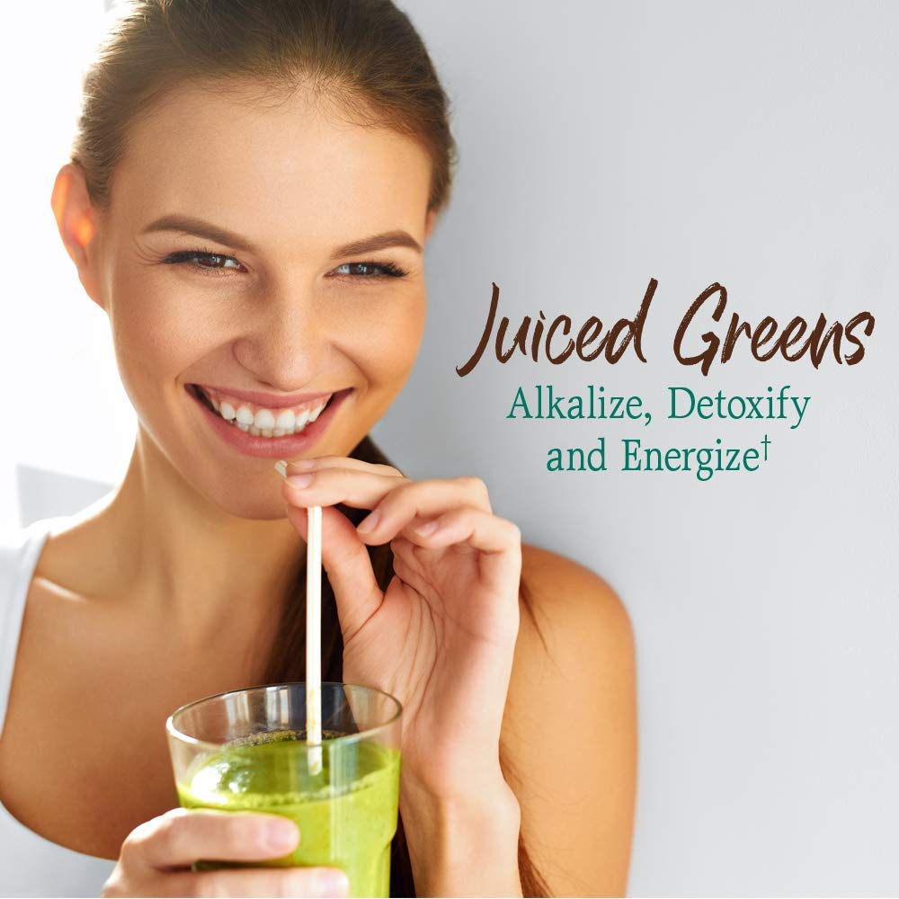 Garden of Life Raw Organic Perfect Food Green Superfood Juiced Greens Powder - Chocolate, 30 Servings