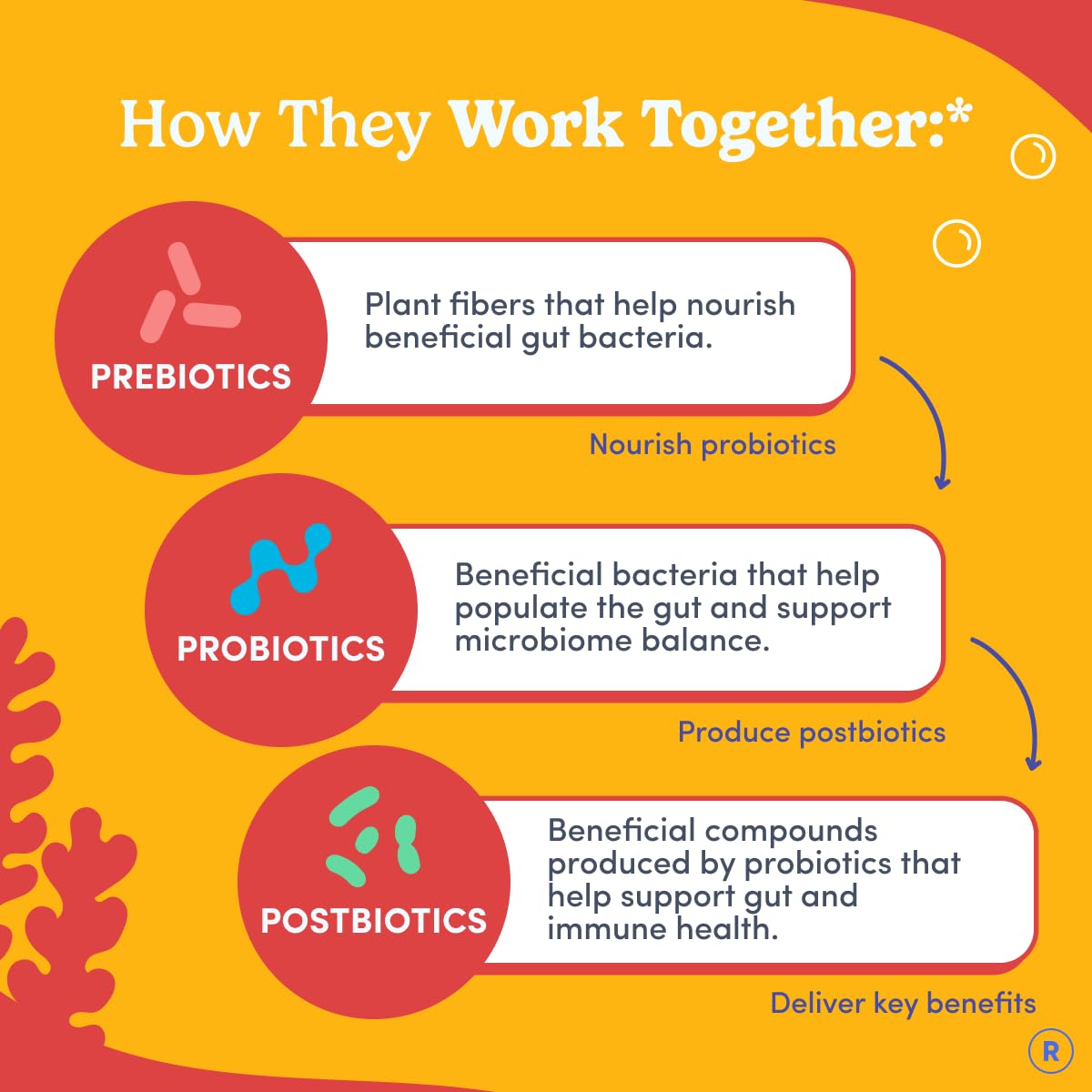 FIRST DAY Kids 3-in-1 Probiotic Gummies, Prebiotic + Probiotic + Postbiotic Supplement – Supports Digestive & Oral Health, Immune Function & Energy Levels, 60 Count