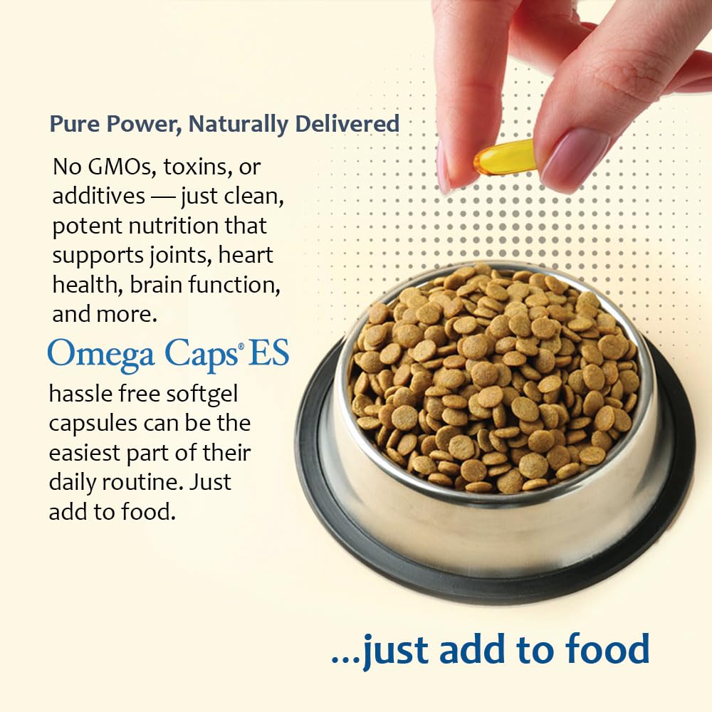 Pet Health Solutions Omega-Caps ES for Large & Giant Dogs 1 Capsule