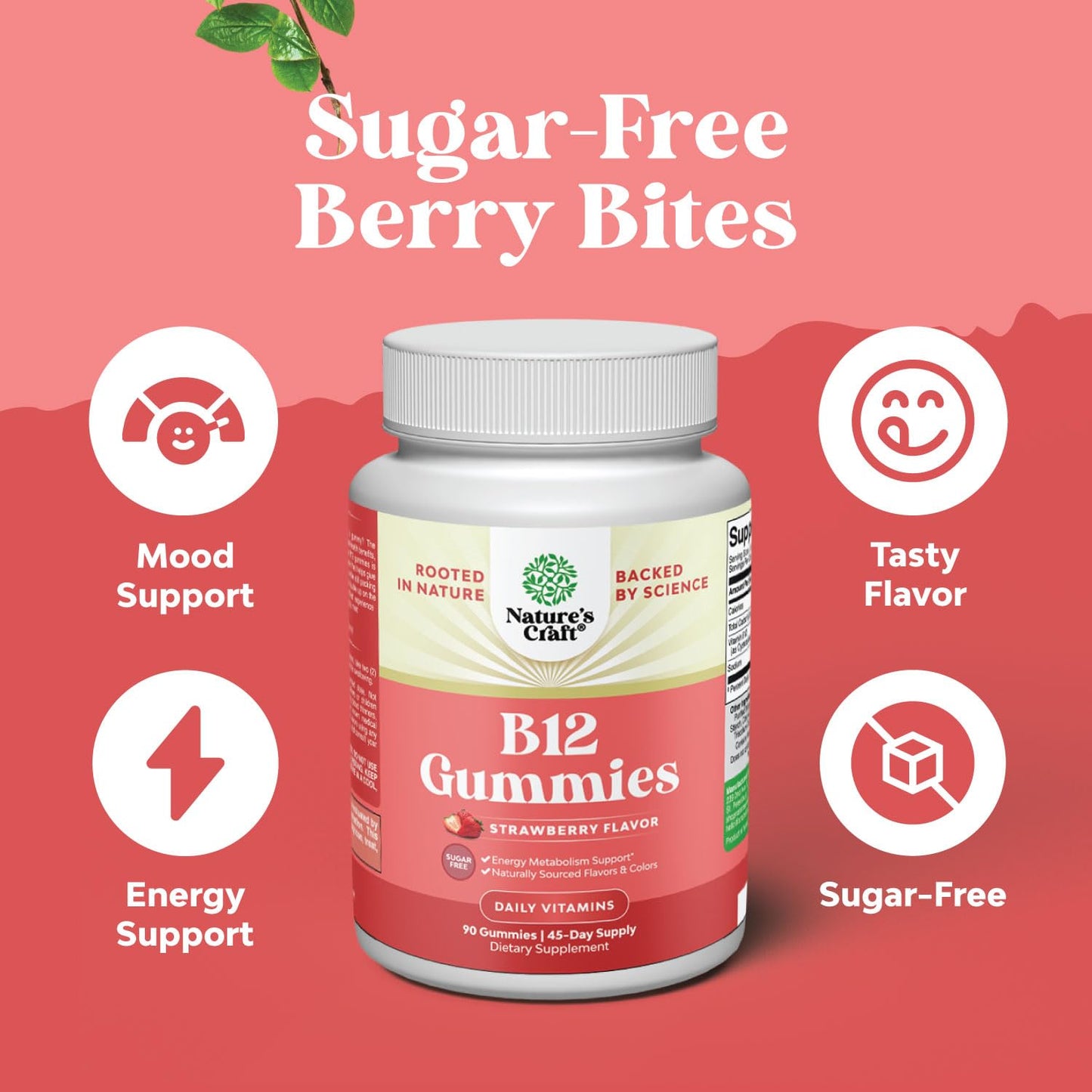 Natures Craft Vitamin B12 Gummies 90 Count
