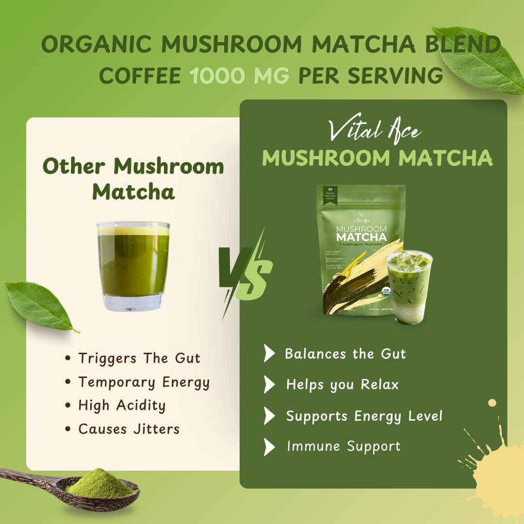 Vital Ace Mushroom Matcha Powder 6.3 oz