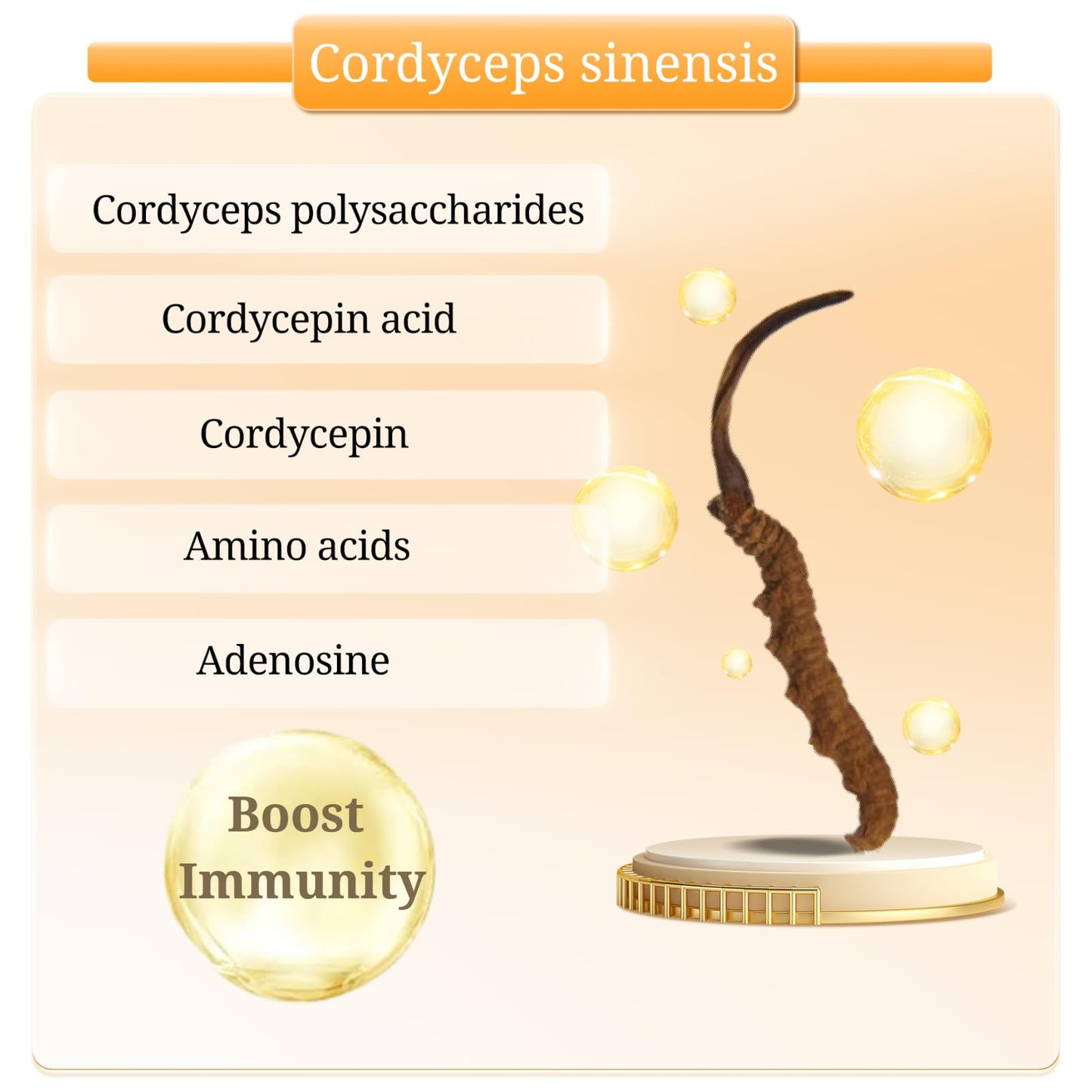 Generic Cordyceps Sinensis Capsules 60 Capsules