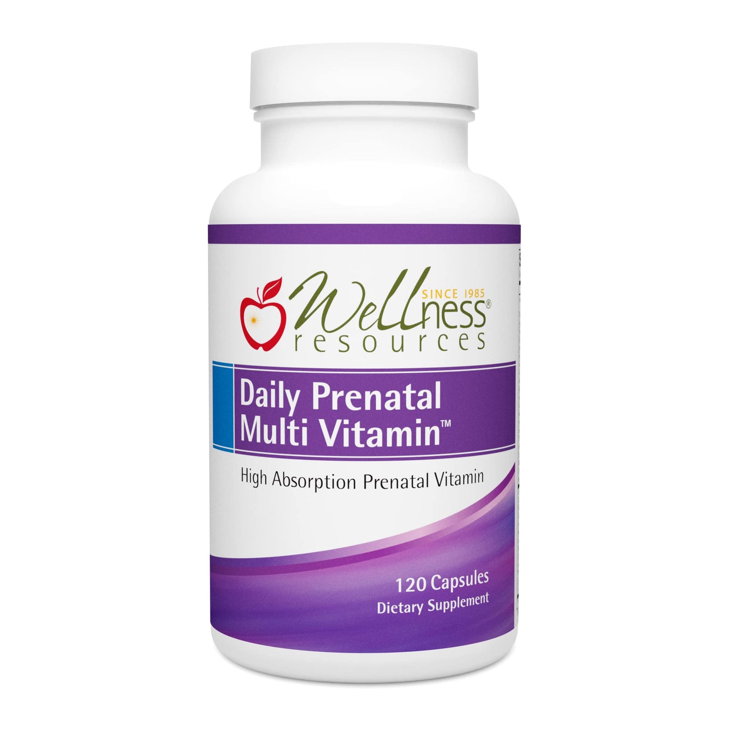 Wellness Resources Daily Prenatal Multi Vitamin - Methylated Folate Zinc Iron Bisglycinate Choline & Key Nutrients - Natural Prenatal Postnatal Postpartum Vitamins for Women, 120 Capsules