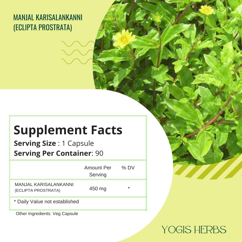 YOGIS HERBS Manjal Karisal Bhringraj Capsules (False Daisy, Eclipta alba) Herbal Supplement, 90 Veg Capsules