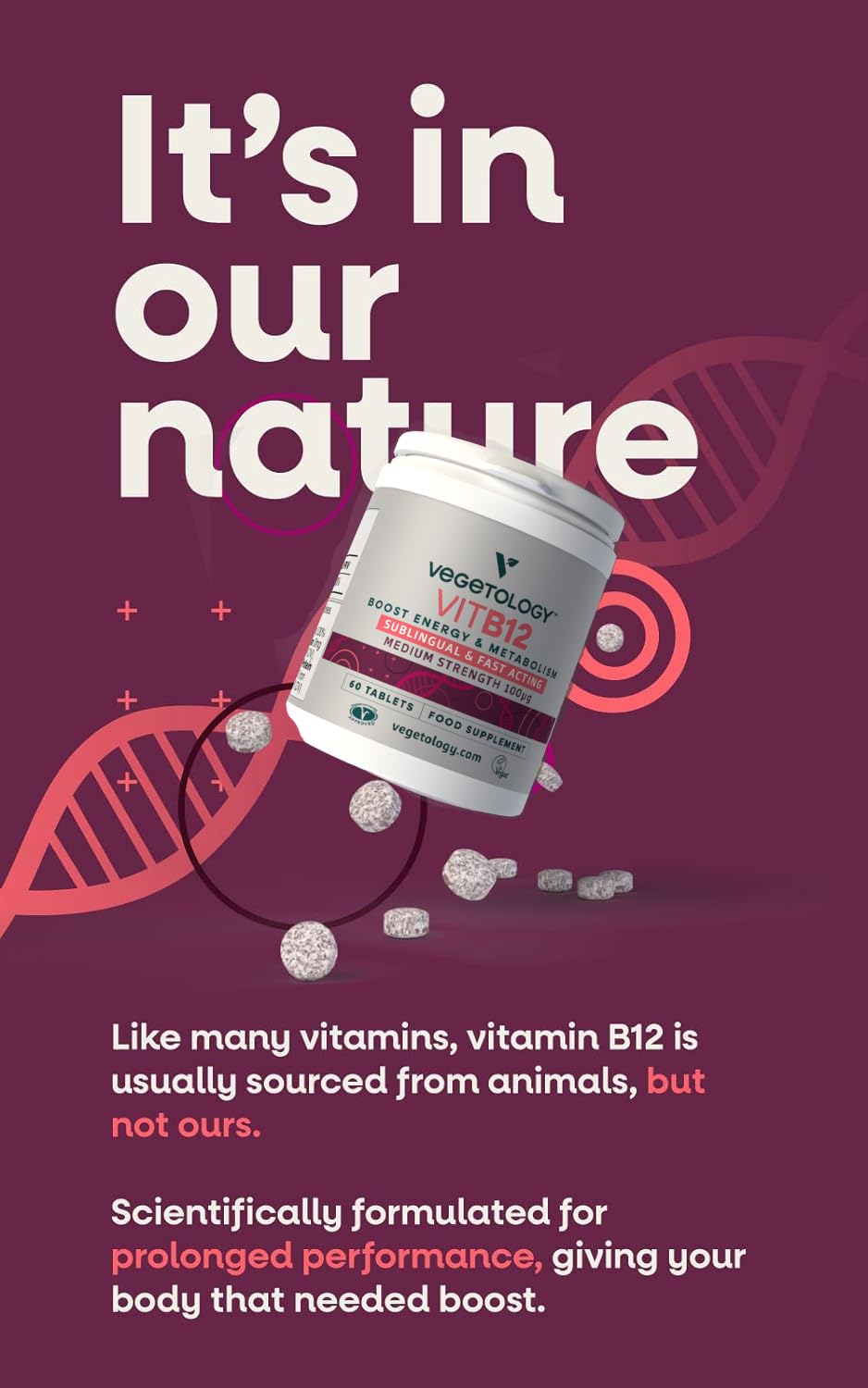 VEGETOLOGY Vegan Vitamin B12 Sublingual Supplement — for Metabolism & Energy, Vitamins & Health Supplements, 60 Tablets
