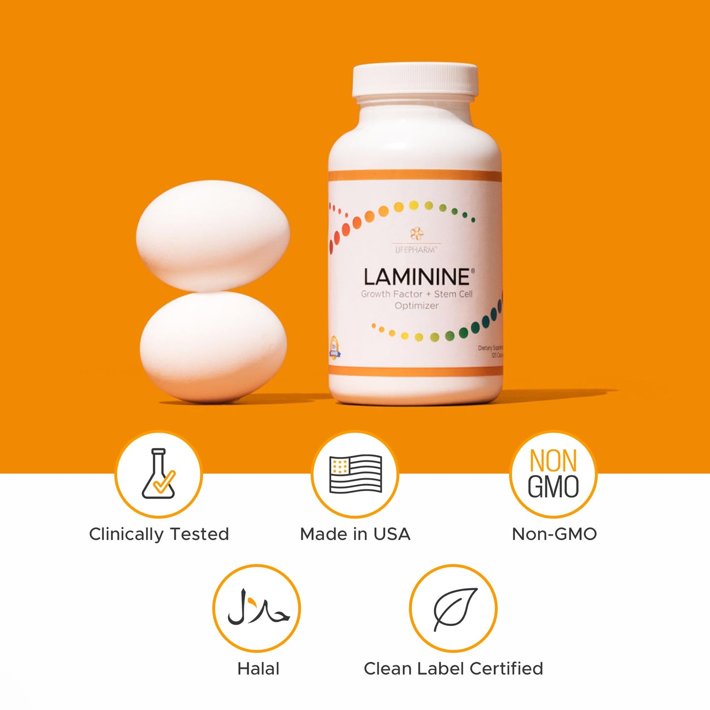 Lifepharm Laminine Capsule 30 Count