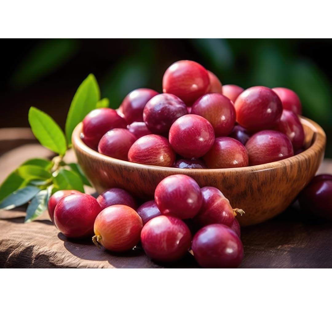 Pacha Superfoods Camu Camu Capsules 500mg, 100 Count