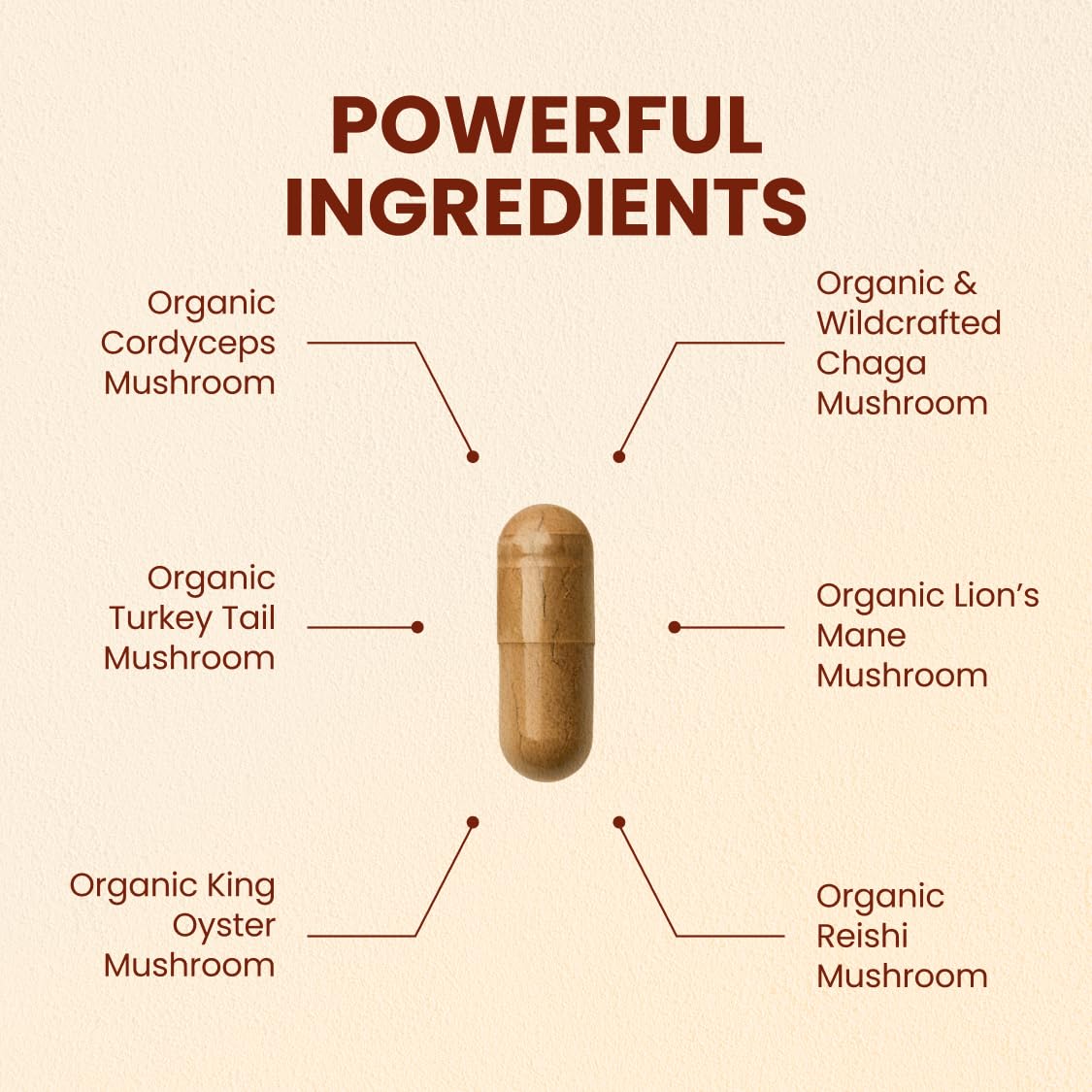 CHOQ Seven Wonders Organic Mushroom Complex - Lions Mane, Reishi, Chaga, Cordyceps Capsules, 30 Count