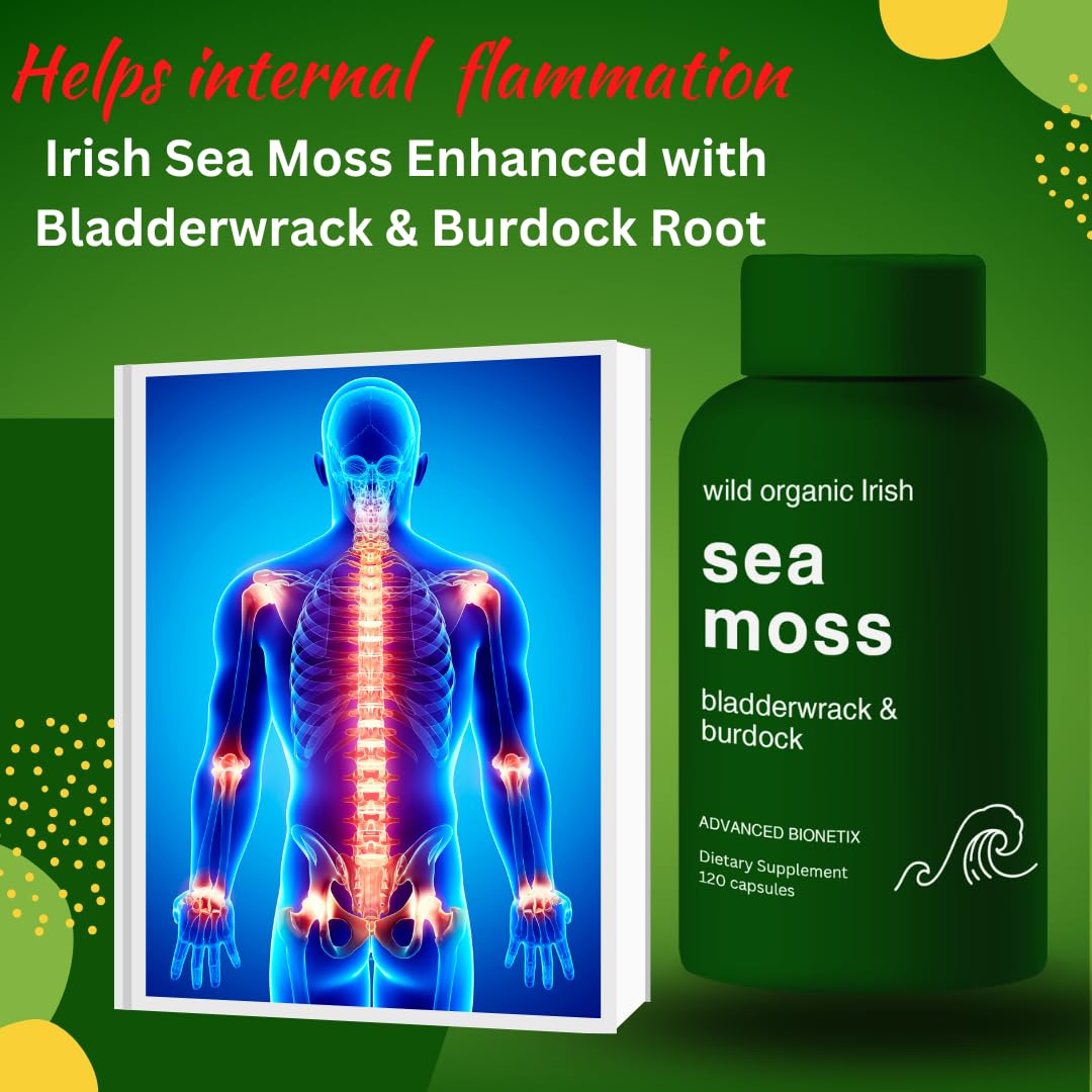 Advanced Bionetix Organic Irish Sea Moss Capsules with Bladderwrack & Burdock Root, 240 Capsules