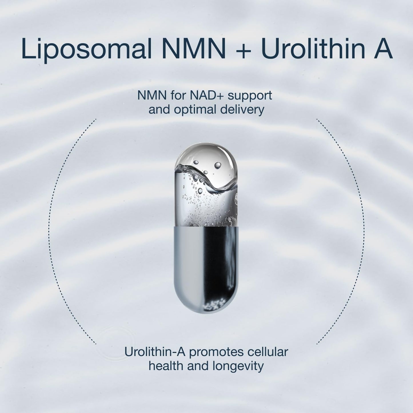 InfiniWell Cellular Energy Pro Urolithin A + Liposomal NMN Supplement Capsule 60 Capsules