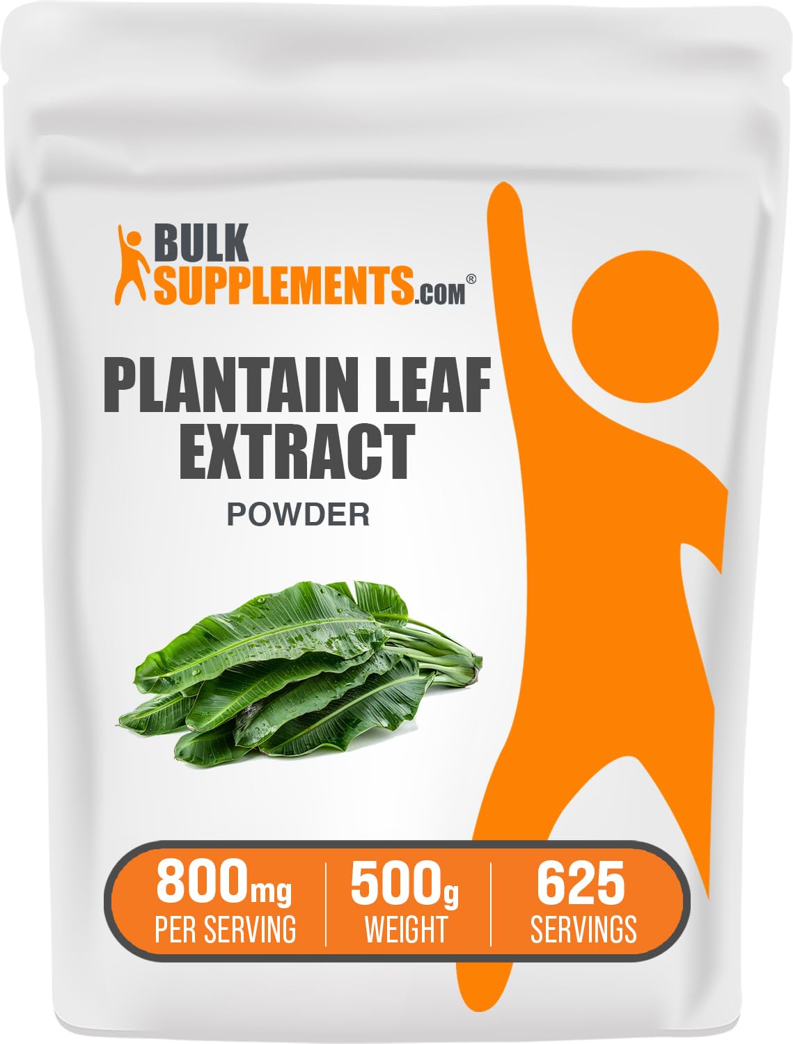 BulkSupplements Plantain Leaf Extract Powder, 17.63 oz