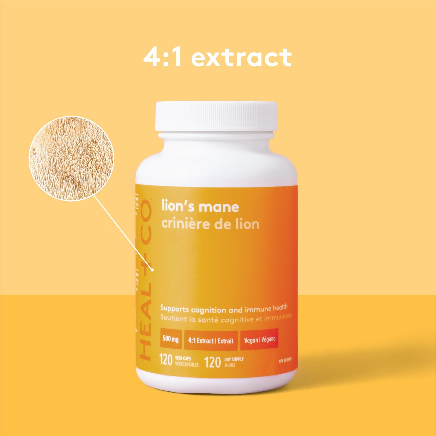 HEAL + CO. Lion's Mane Capsules 120 Count