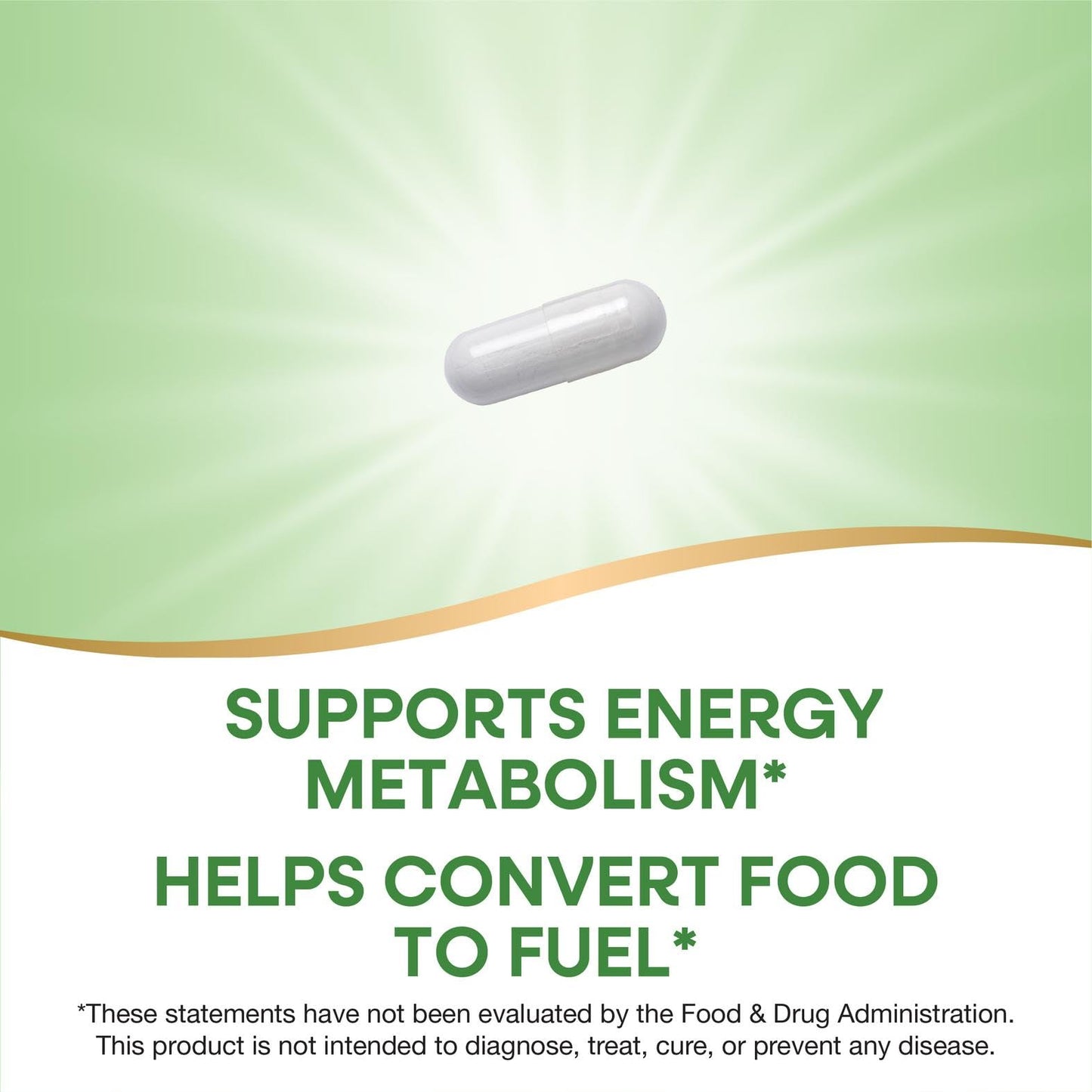 Nature's Way Vitamin B1 Capsules 100