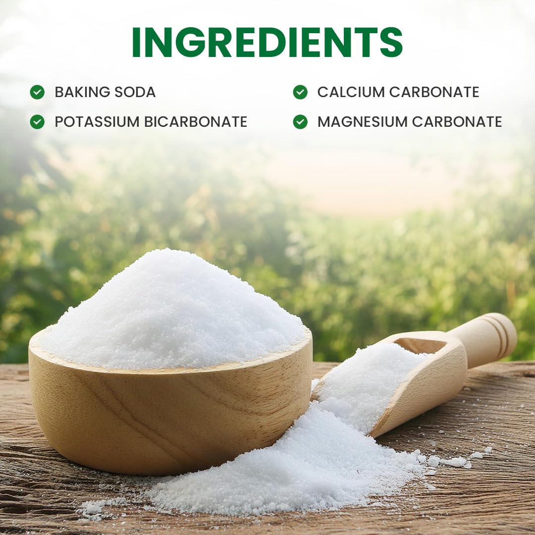 Premium Alkalinecare PHOUR Salts Powder, 15.87 Ounce
