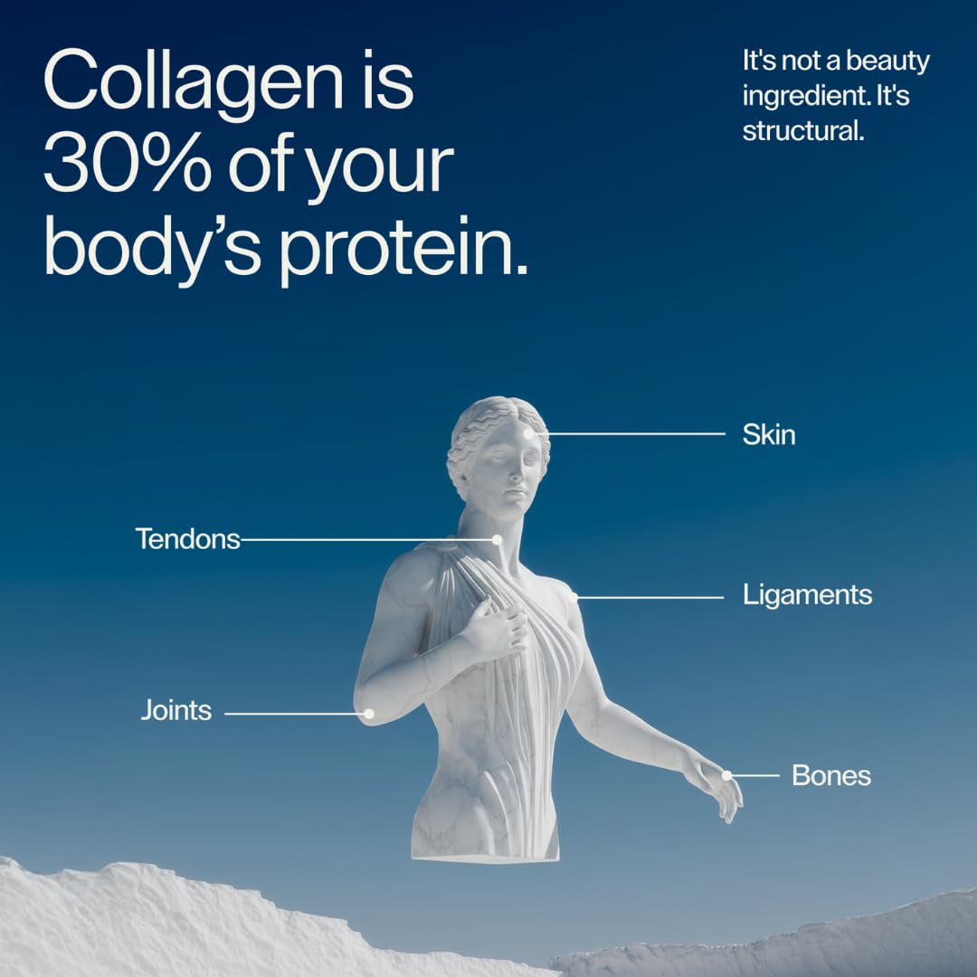 Century Collagen Structural Collagen Peptides Powder 30 Servings