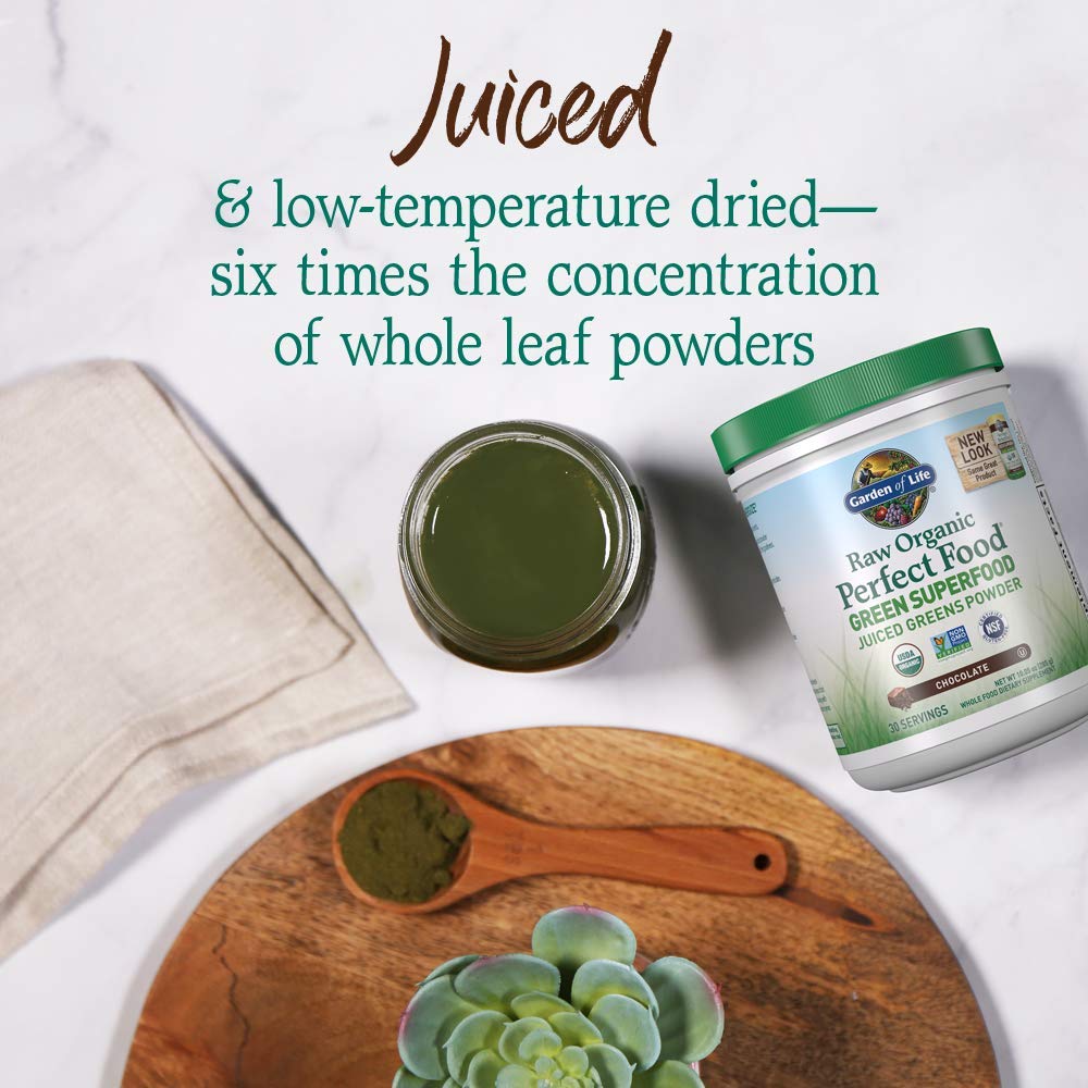 Garden of Life Raw Organic Perfect Food Green Superfood Juiced Greens Powder - Chocolate, 30 Servings