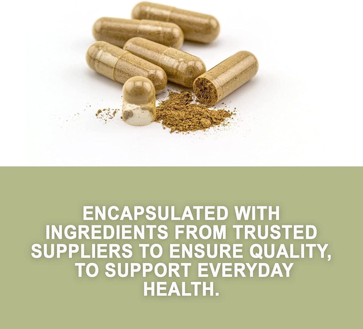 Evergreen Herbs Moringa Capsules 90 Capsules
