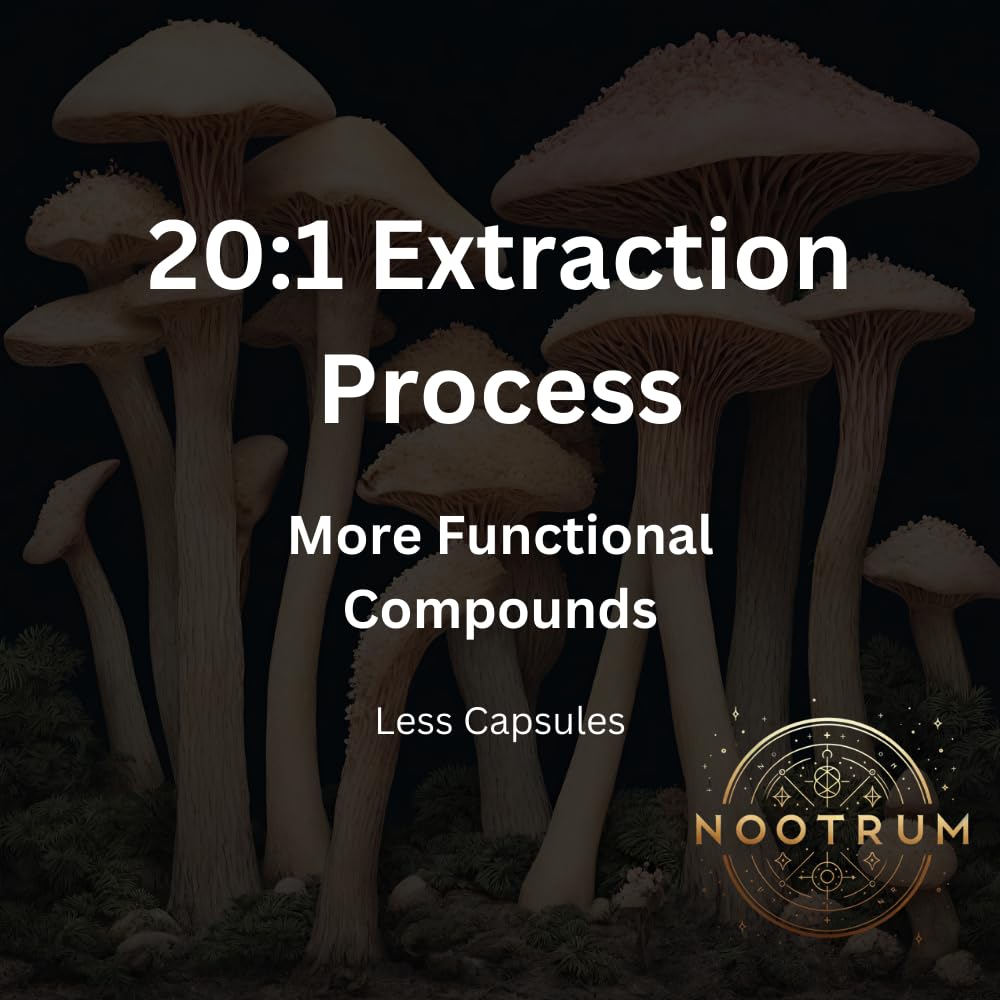 Nootrum Mushrooms Capsules, 120 Count