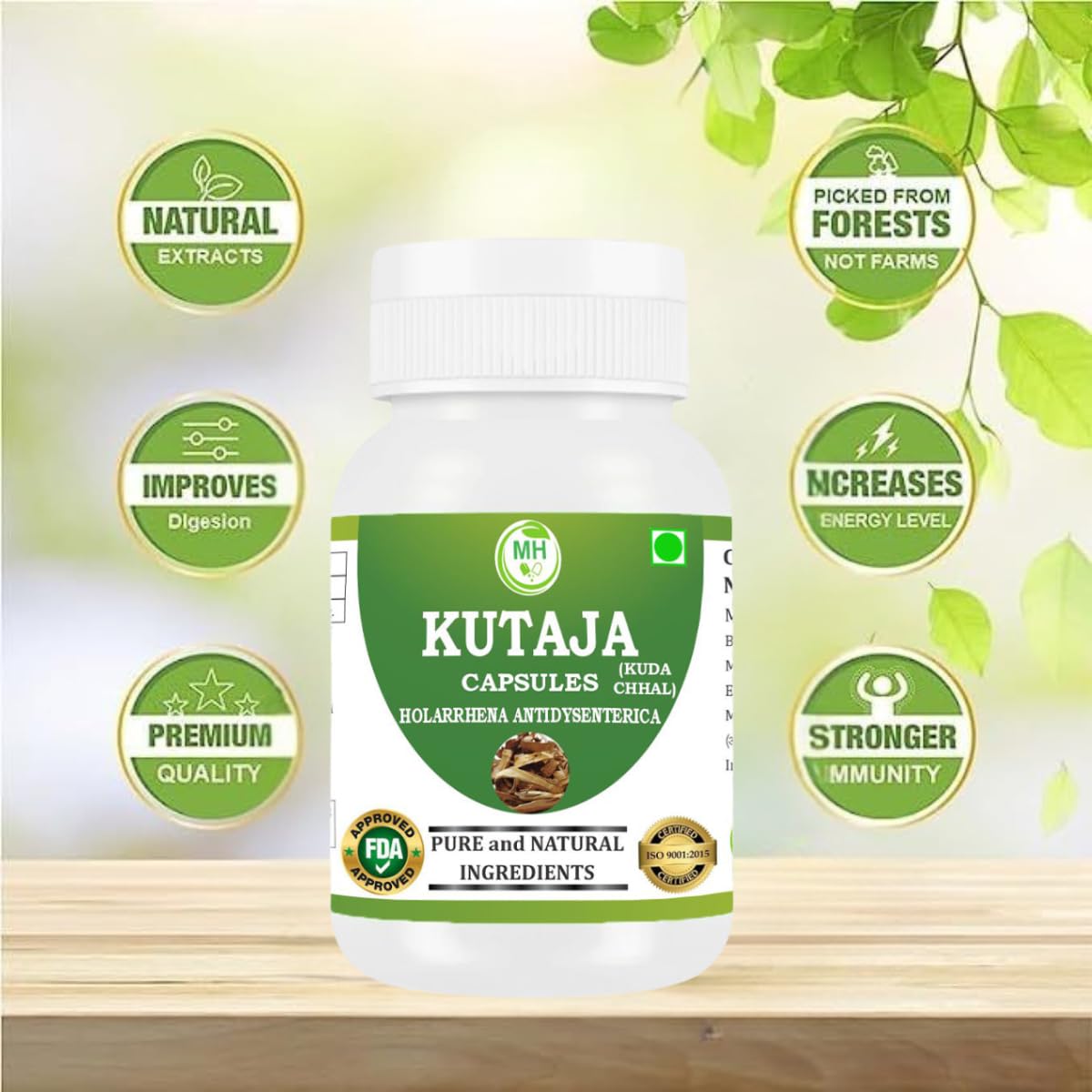 Morsan Healthcare Kutaja Capsules 500 mg (9:1 Extract) – Holarrhena Antidysenterica for Men & Women, 60 Capsules